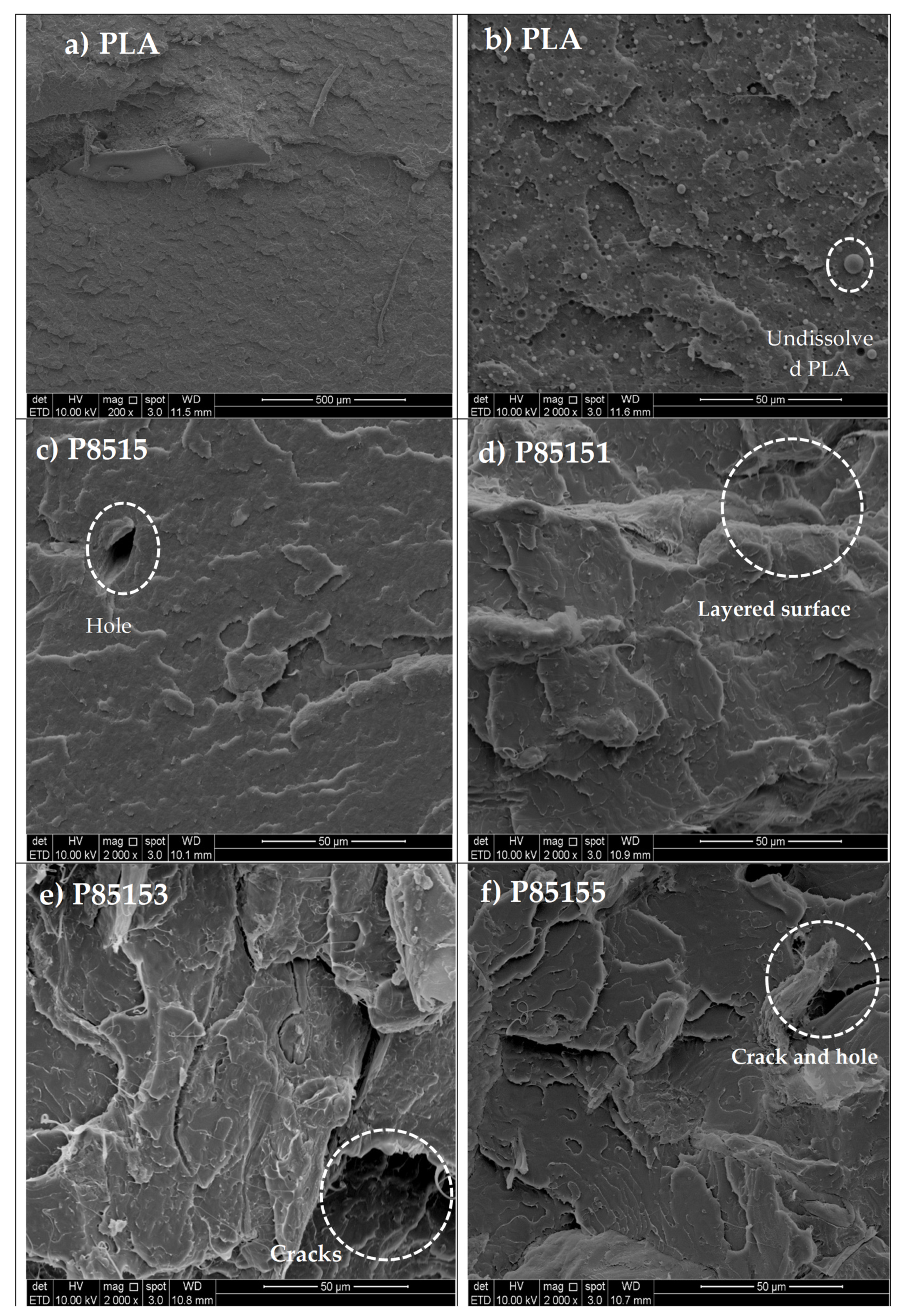 Molecules 26 02008 g007 Molecules 26 02008 g007