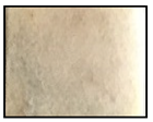 Molecules 26 02008 i005