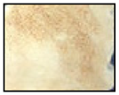 Molecules 26 02008 i012