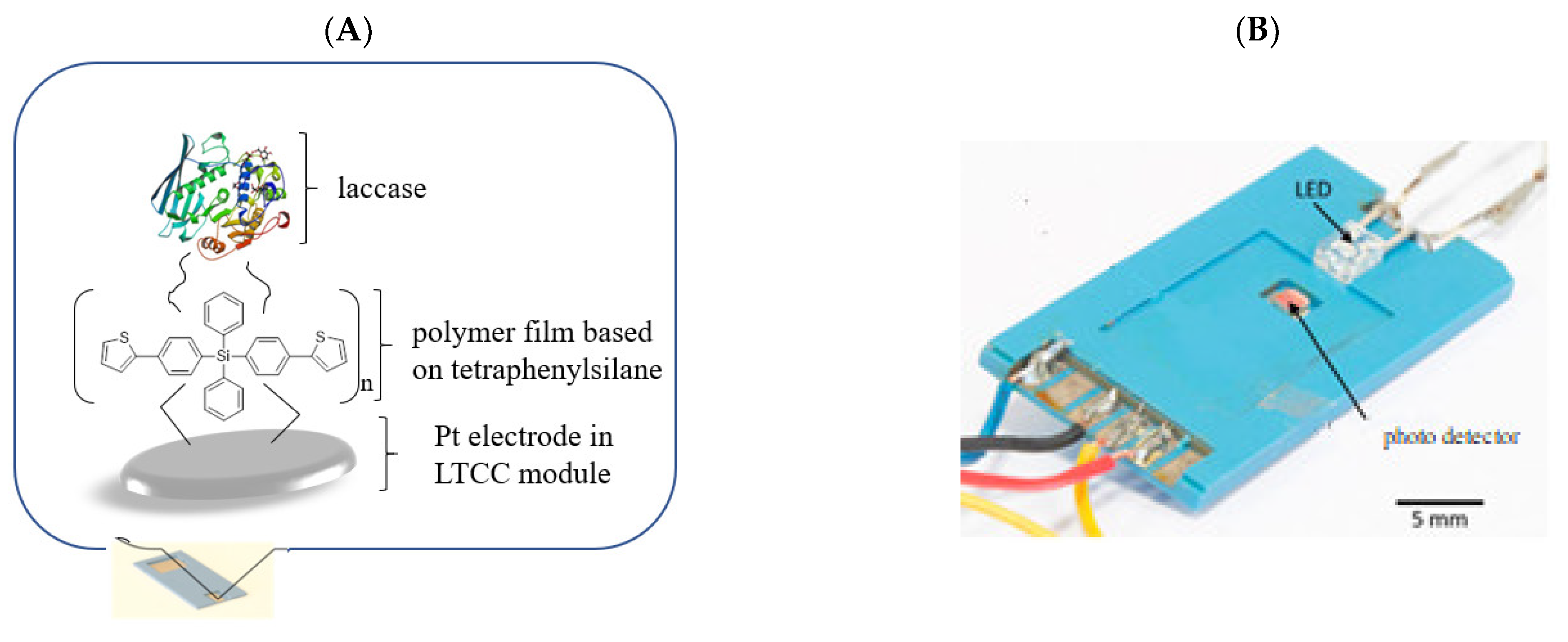 Molecules 26 02012 g002
