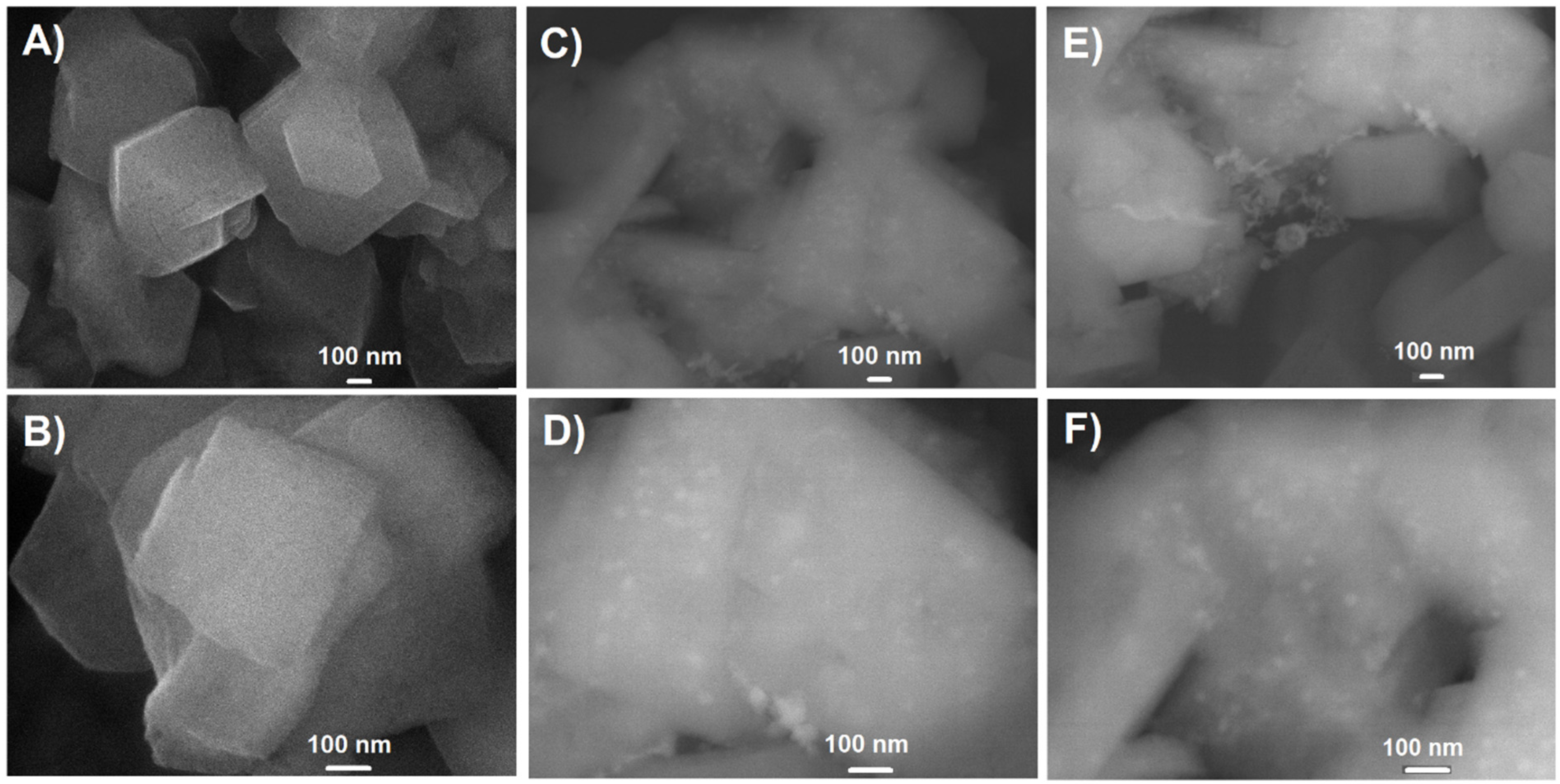 Molecules 26 02015 g004