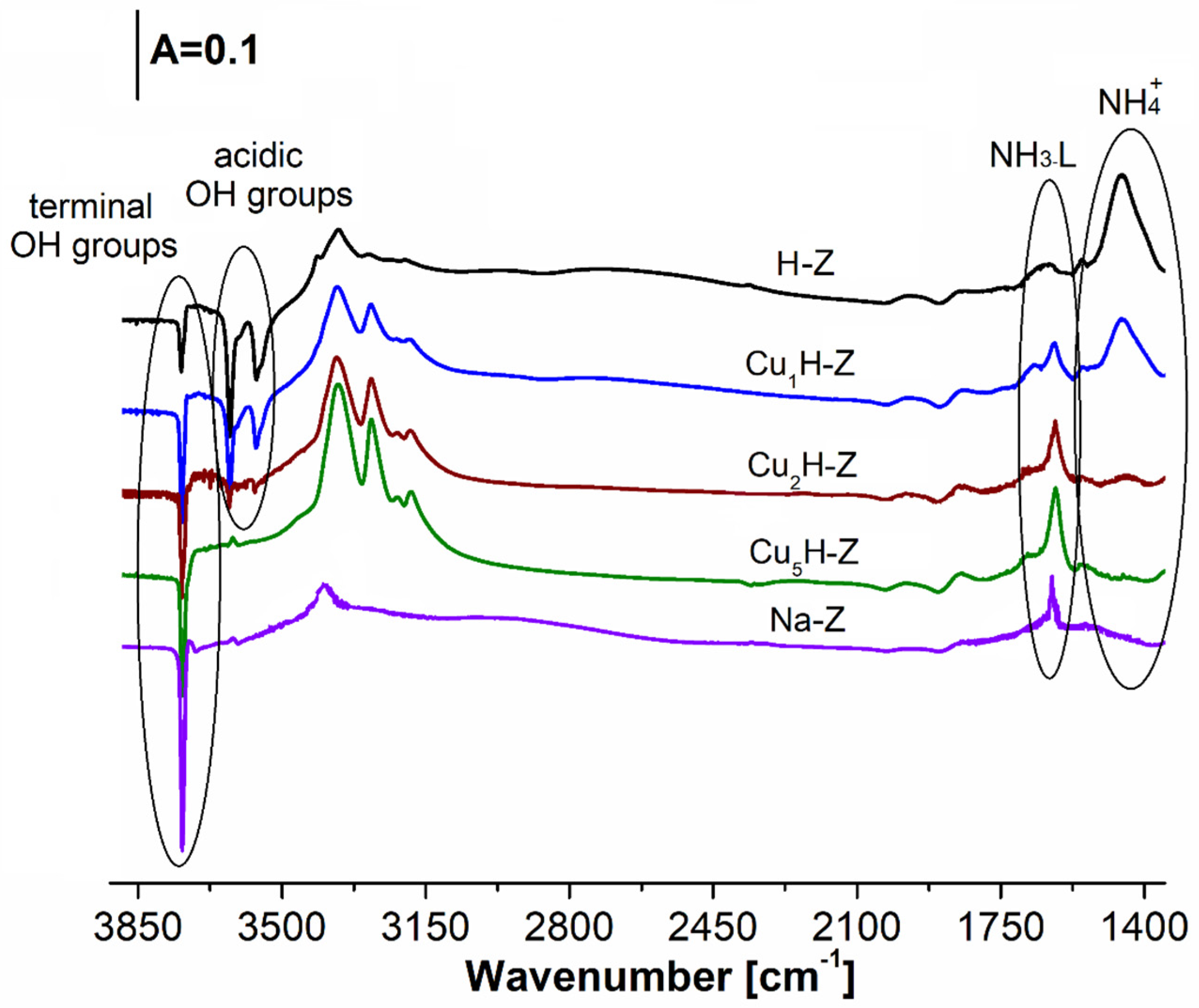 Molecules 26 02015 g006
