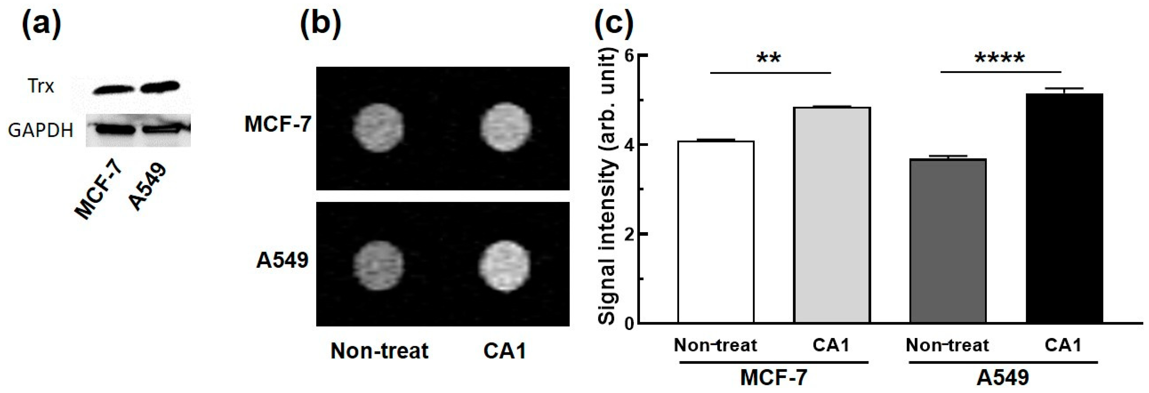 Molecules 26 02018 g004