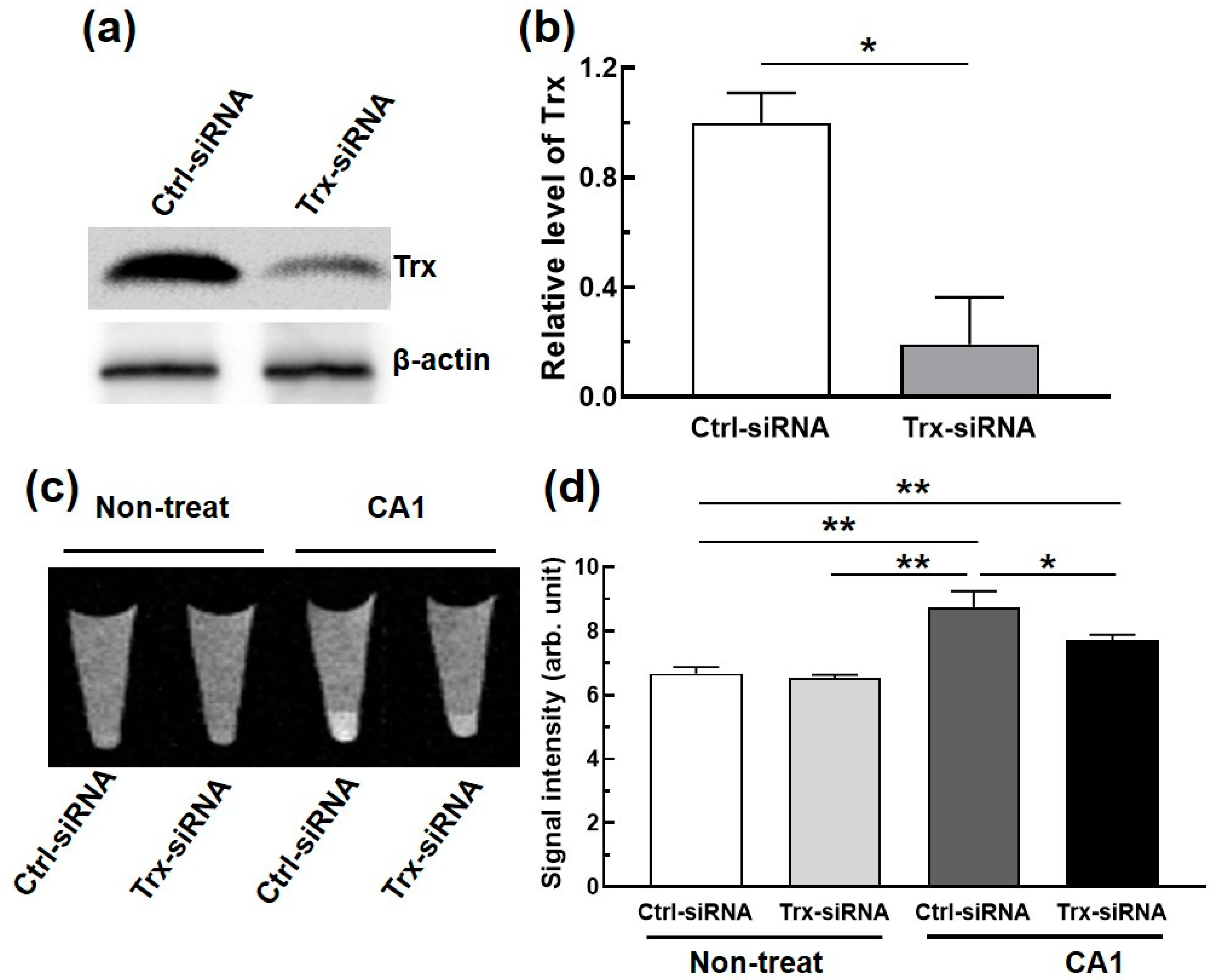 Molecules 26 02018 g005