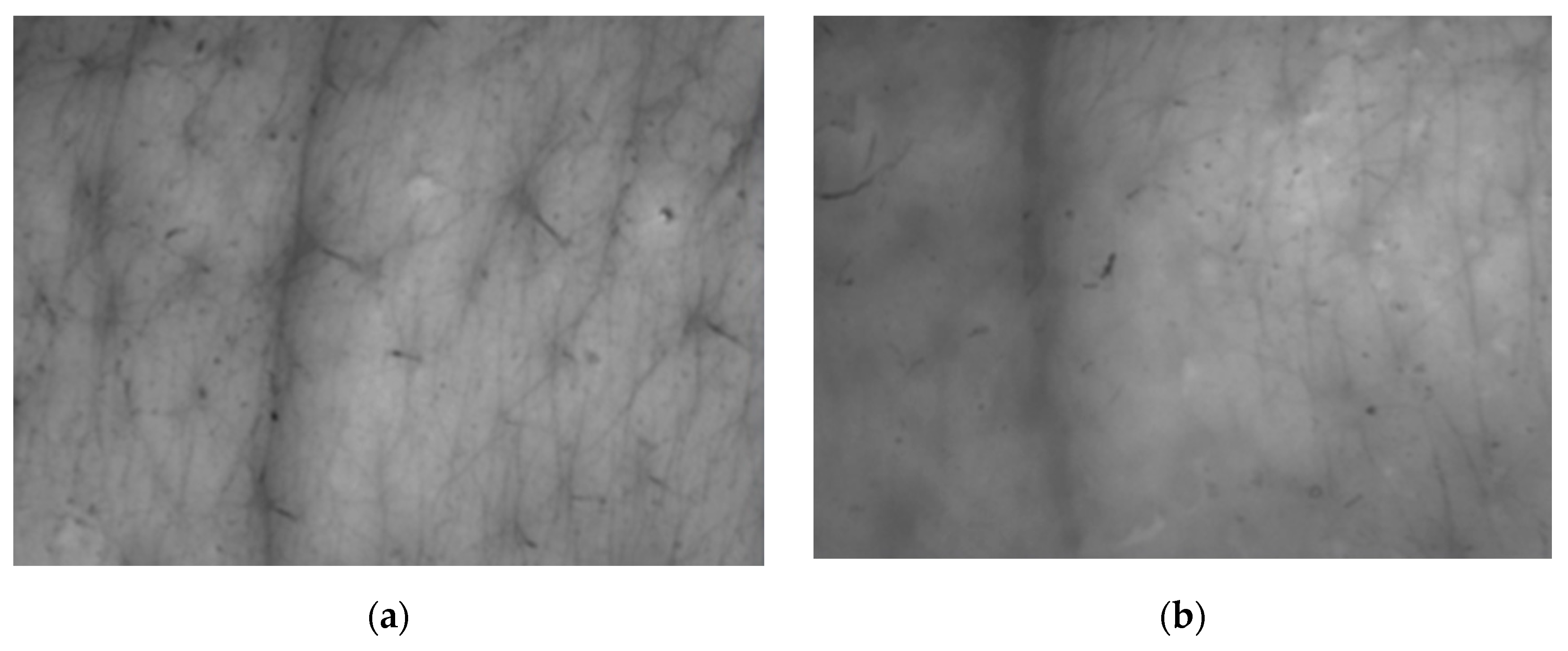 Molecules 26 02021 g005