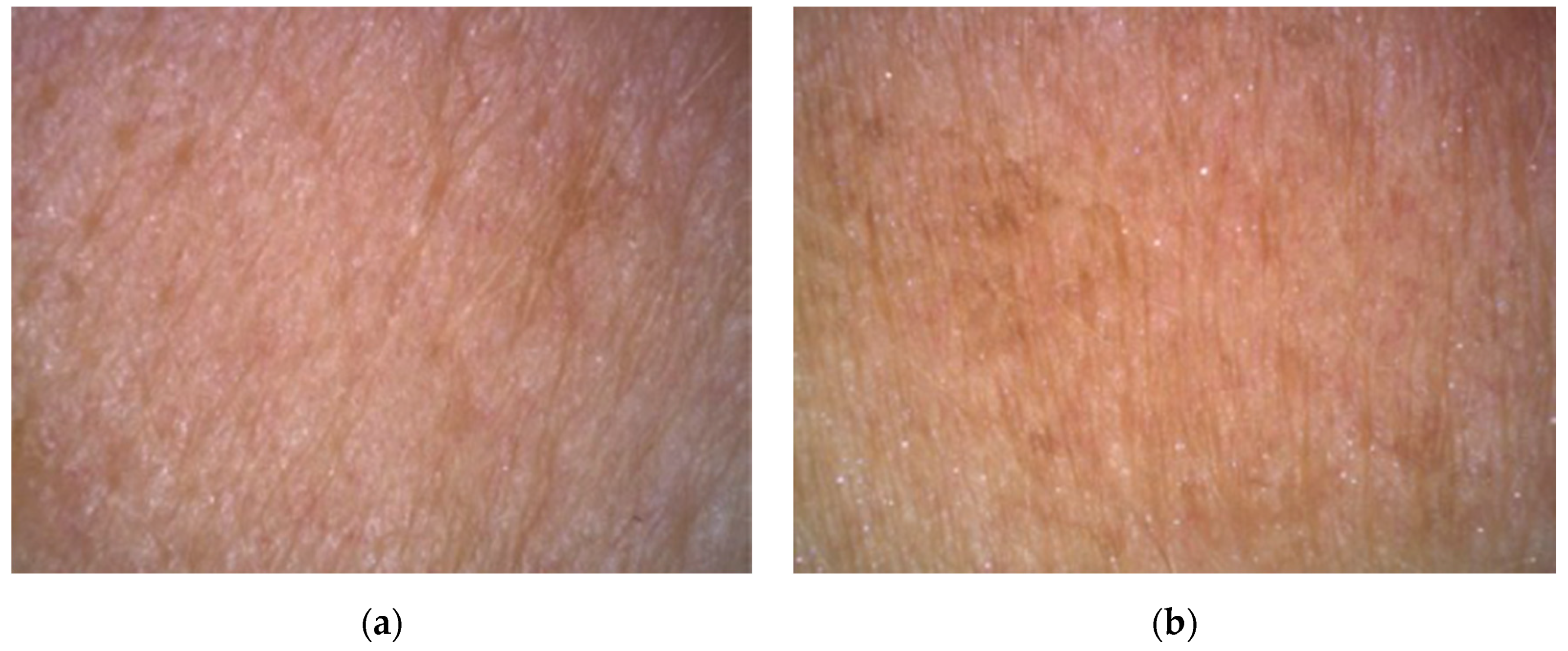 Molecules 26 02021 g009