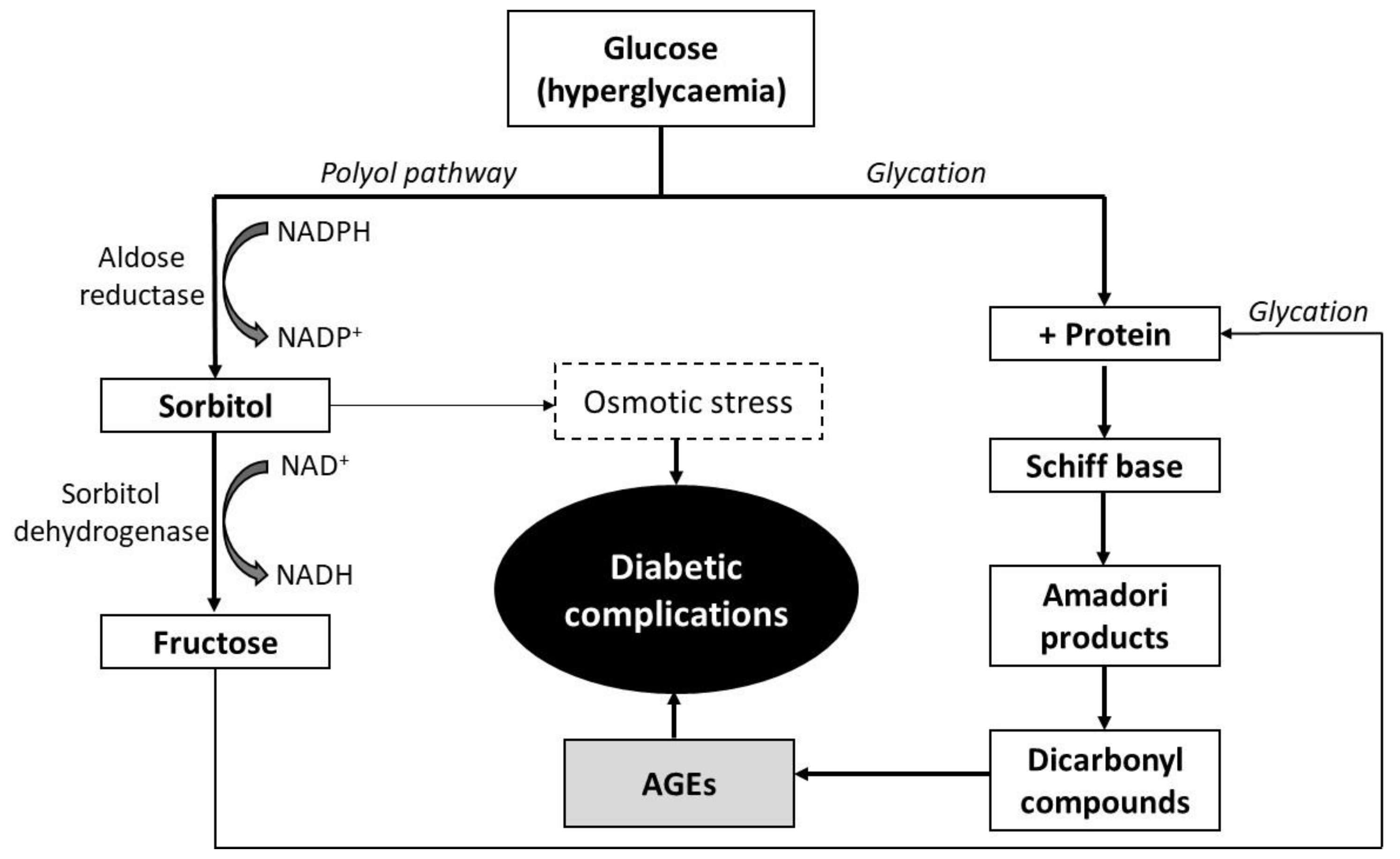 Molecules 26 02023 g002