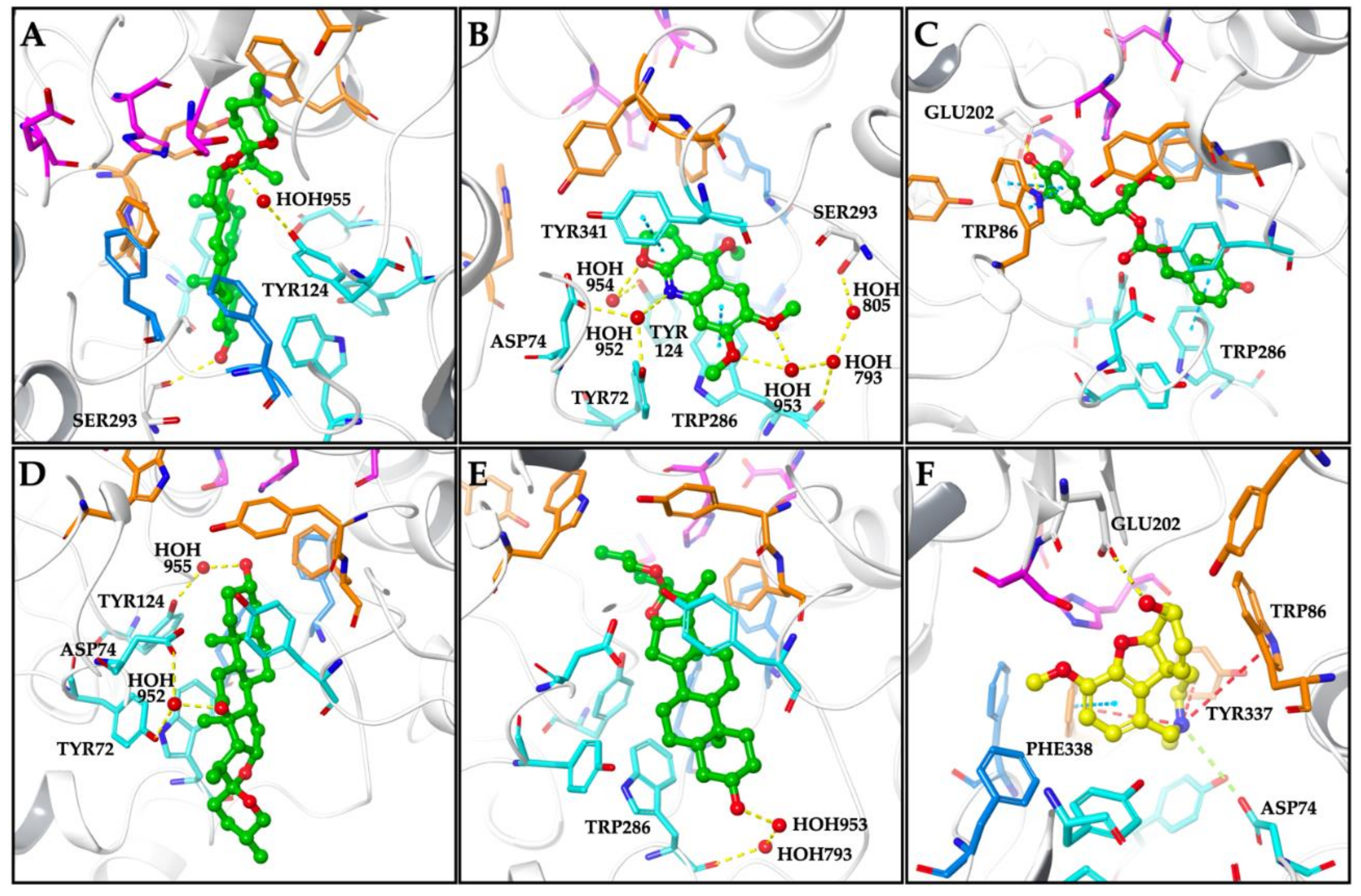Molecules 26 02024 g002 Molecules 26 02024 g002