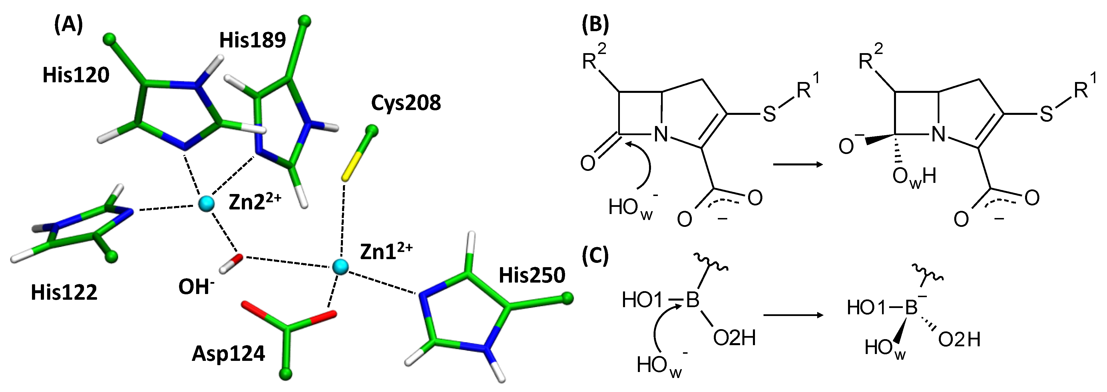 Molecules 26 02026 g001