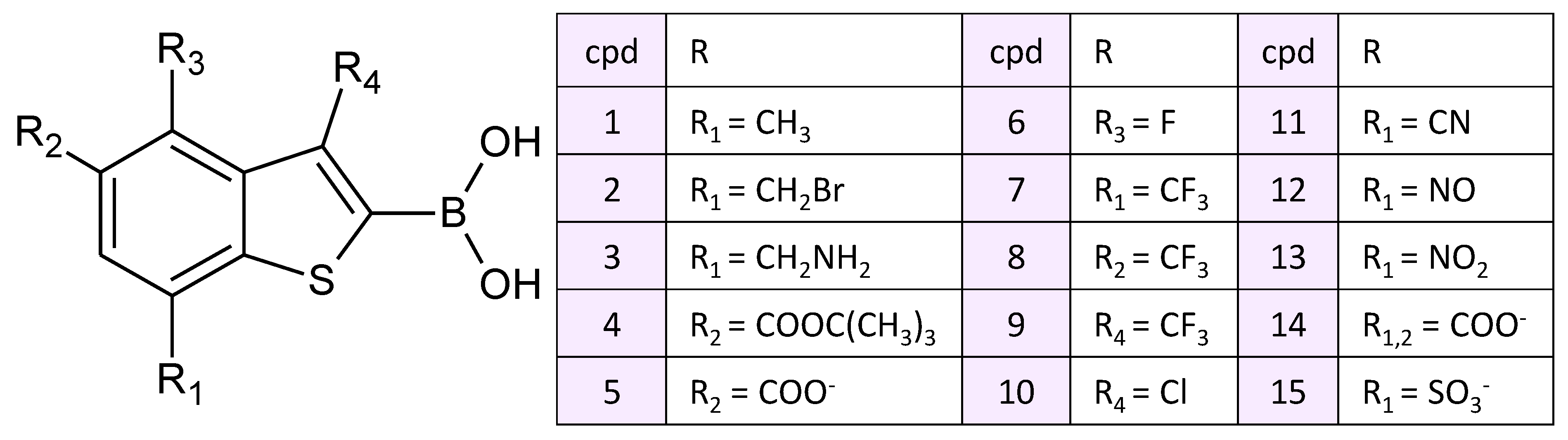 Molecules 26 02026 g002