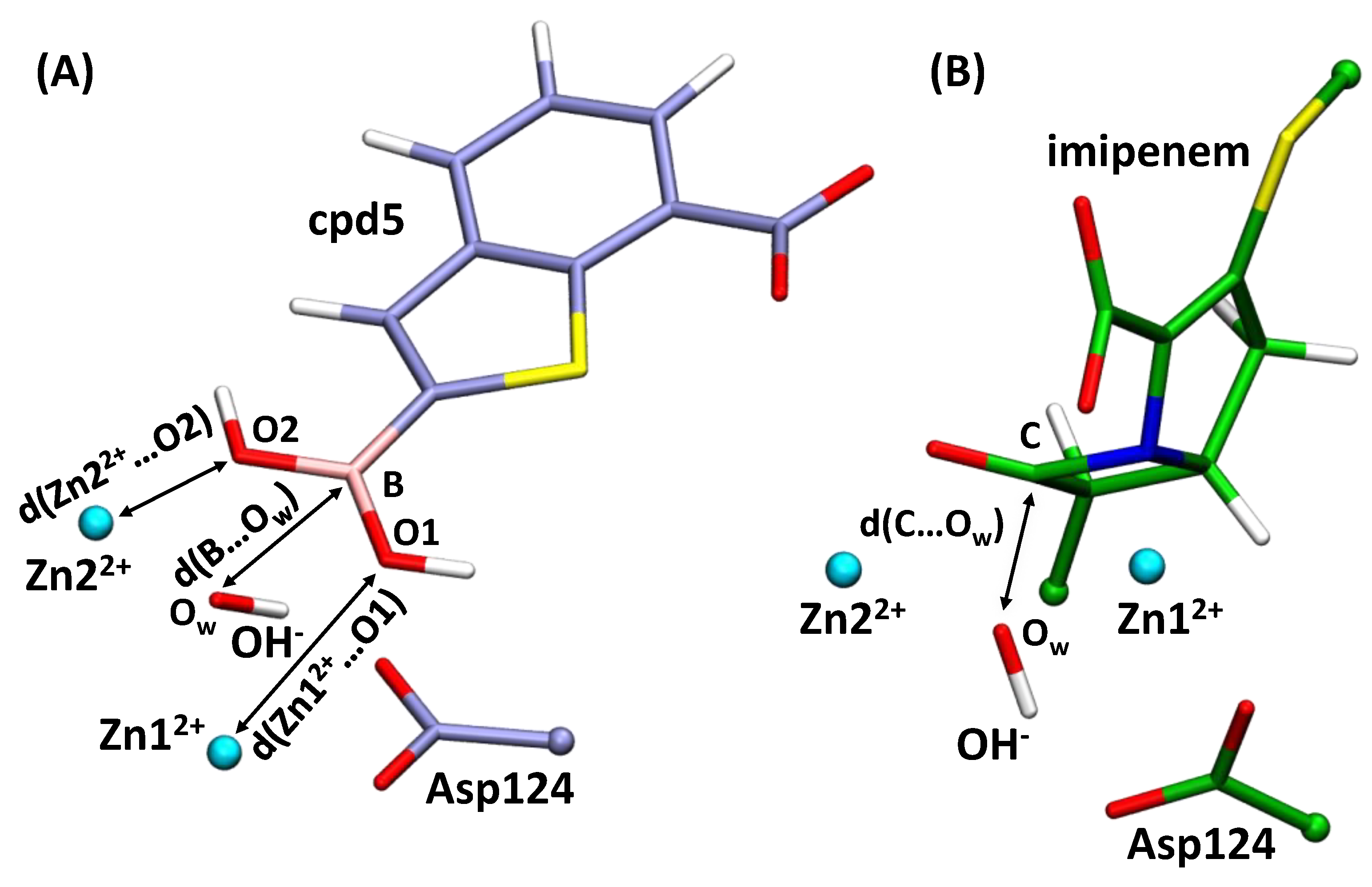 Molecules 26 02026 g003