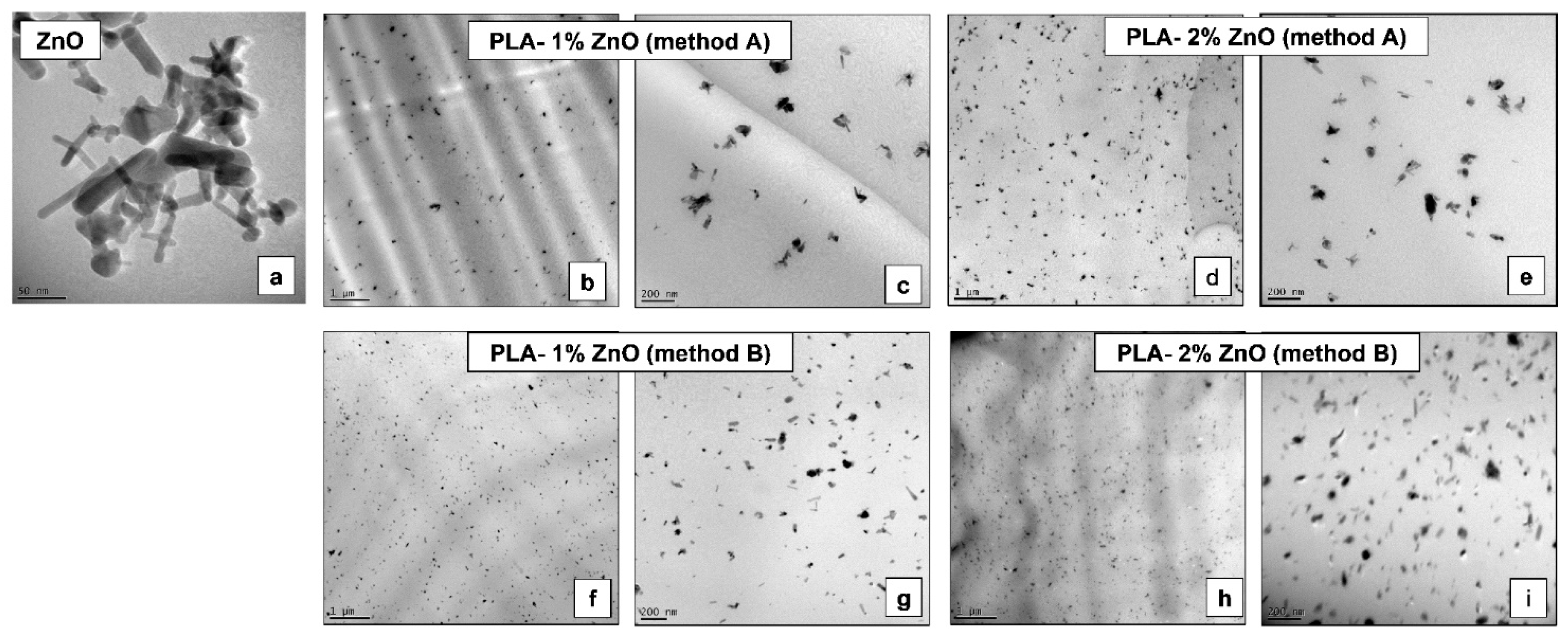 Molecules 26 02043 g008 Molecules 26 02043 g008