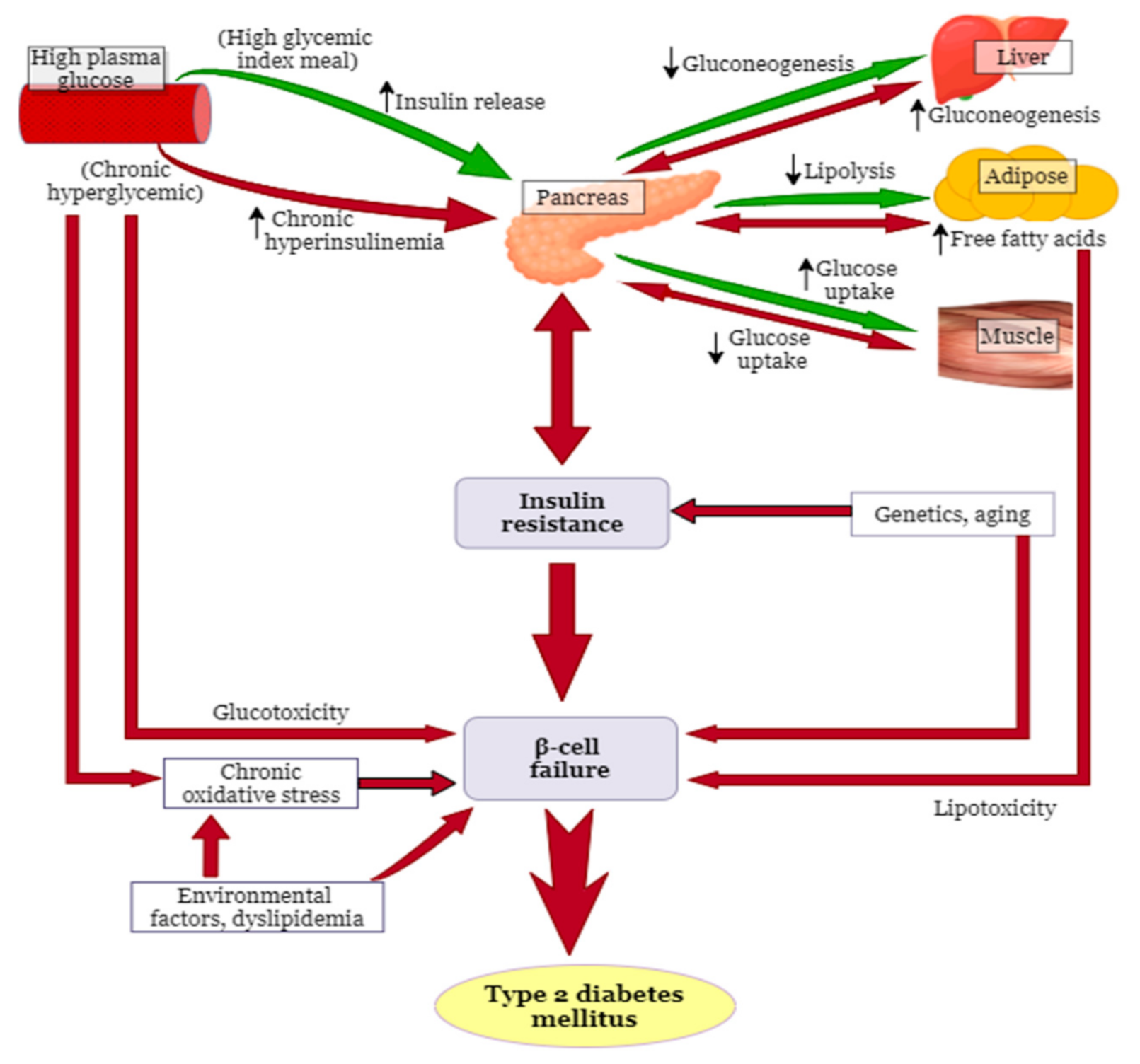 Molecules 26 02044 g001 Molecules 26 02044 g001