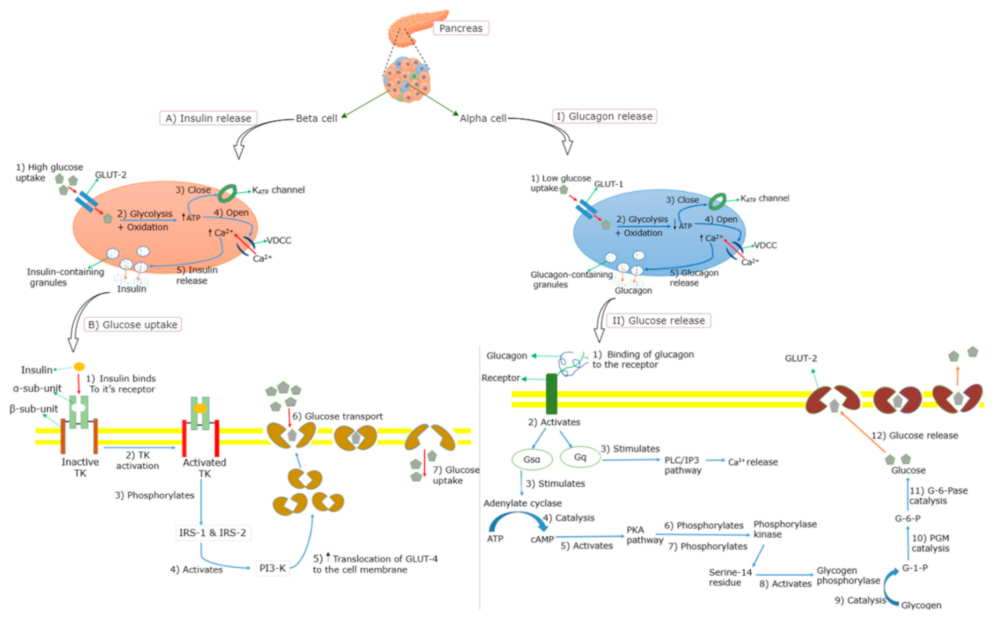 Molecules 26 02044 g002 Molecules 26 02044 g002