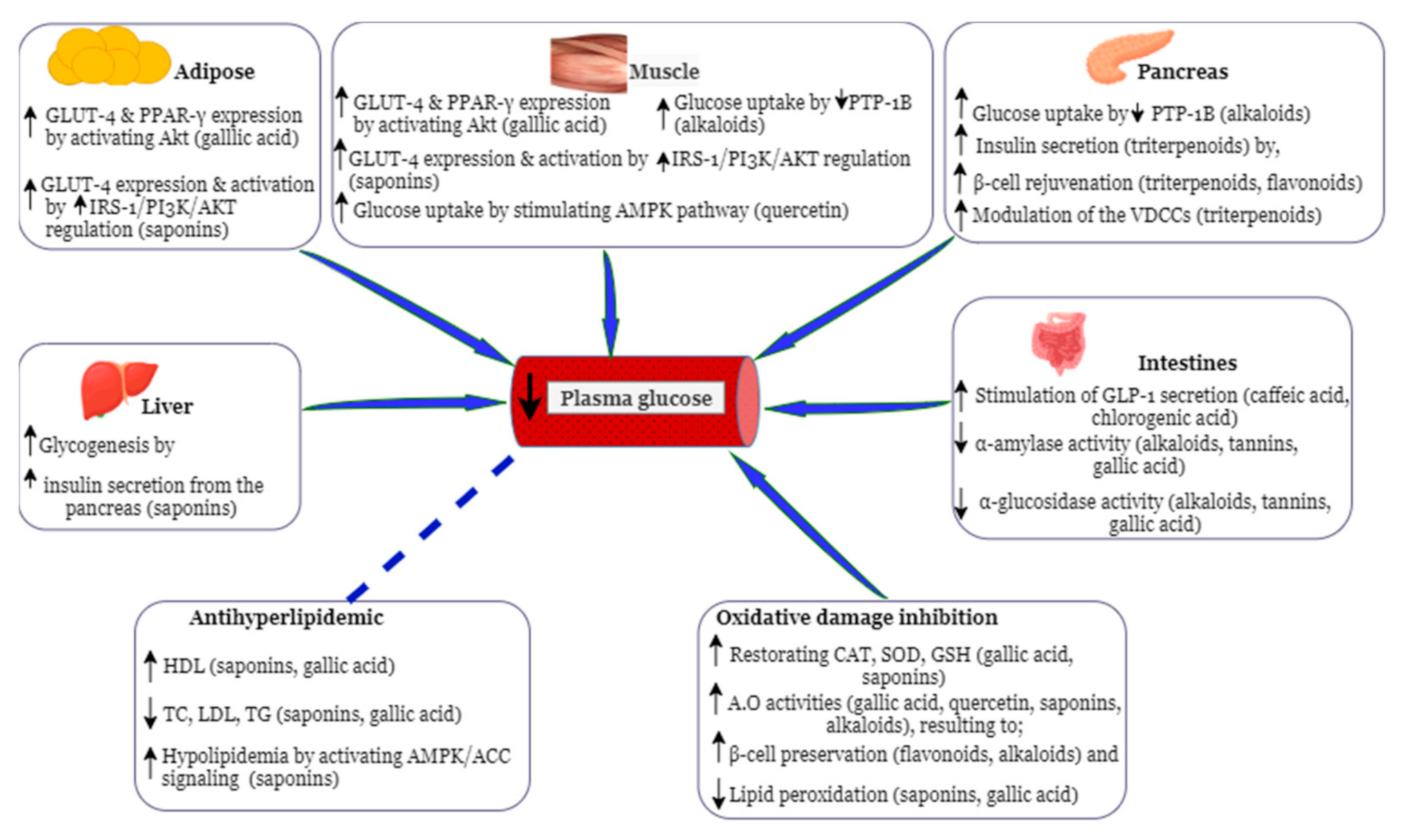 Molecules 26 02044 g003 Molecules 26 02044 g003