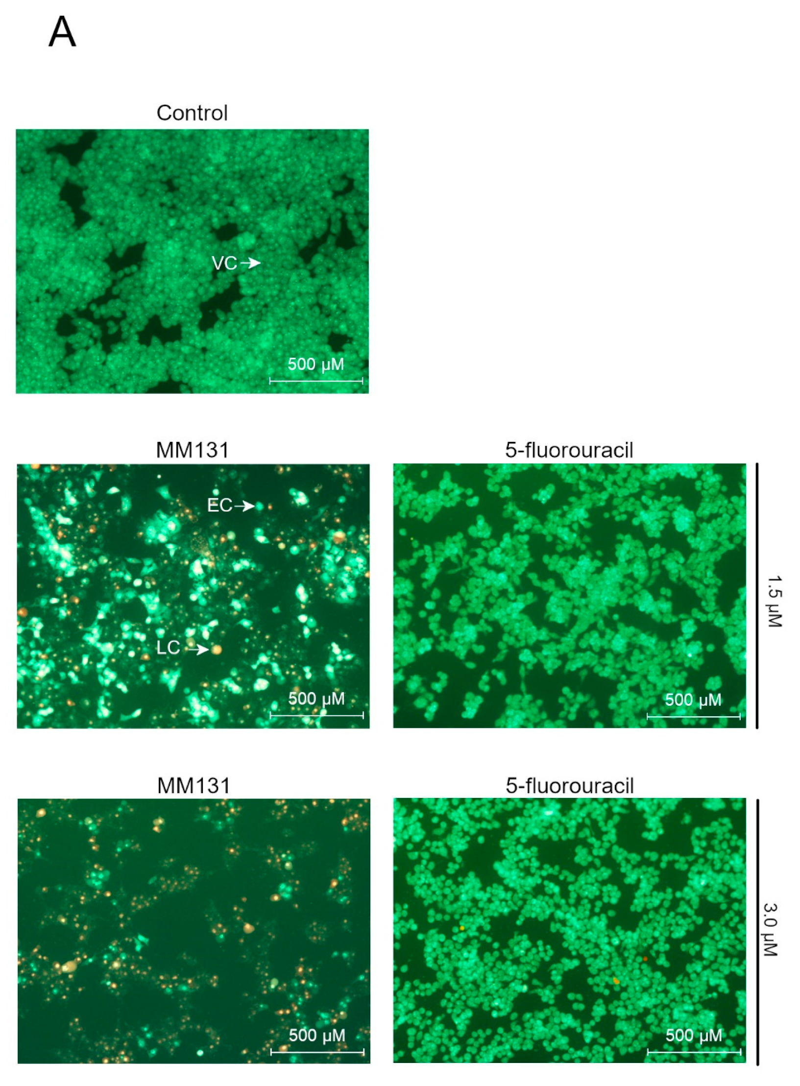 Molecules 26 02045 g004a Molecules 26 02045 g004a