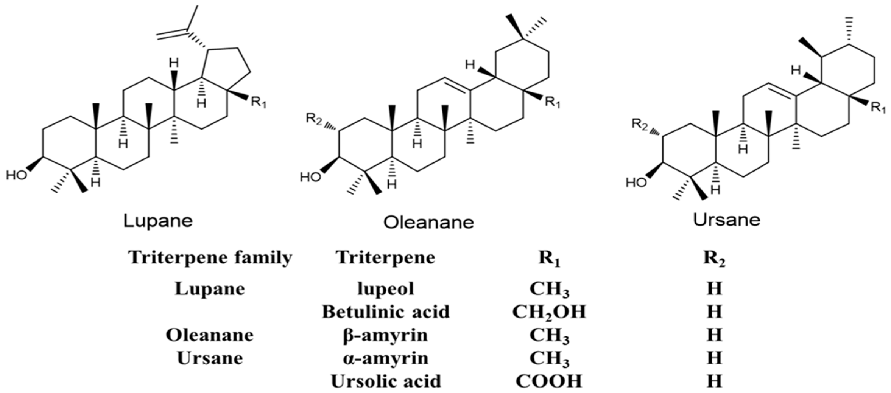 Molecules 26 02049 g001