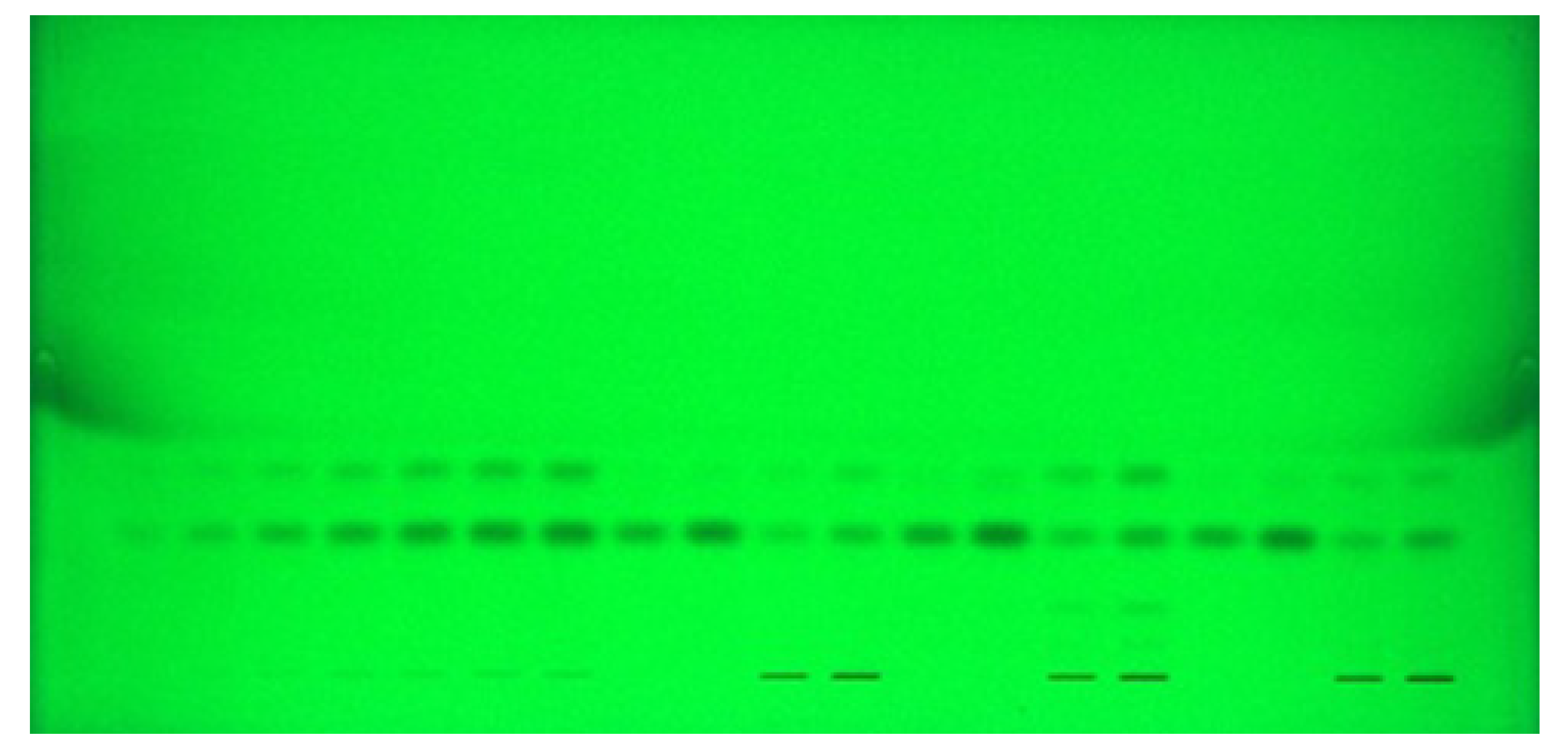 Molecules 26 02054 g001