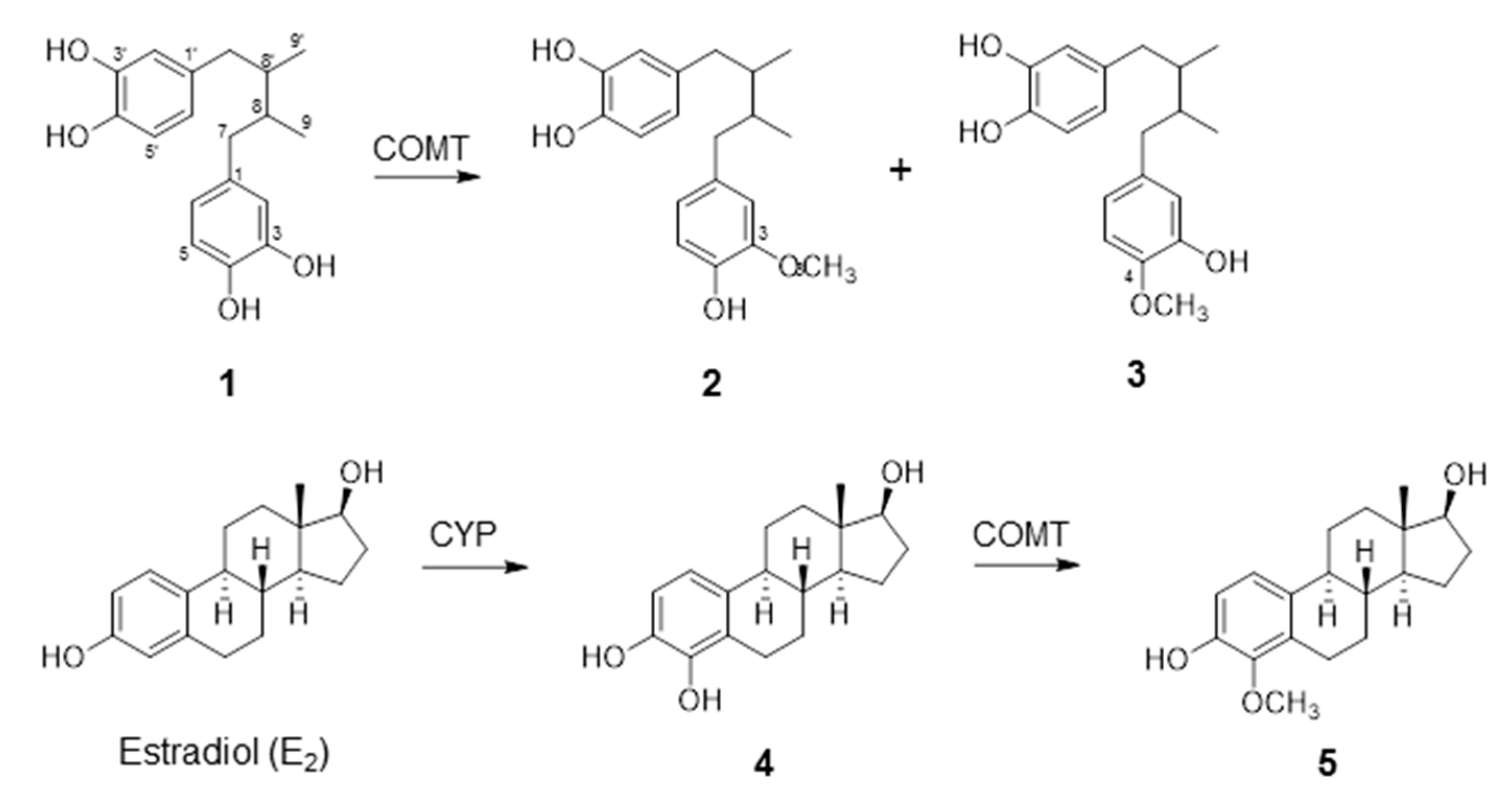 Molecules 26 02060 g001