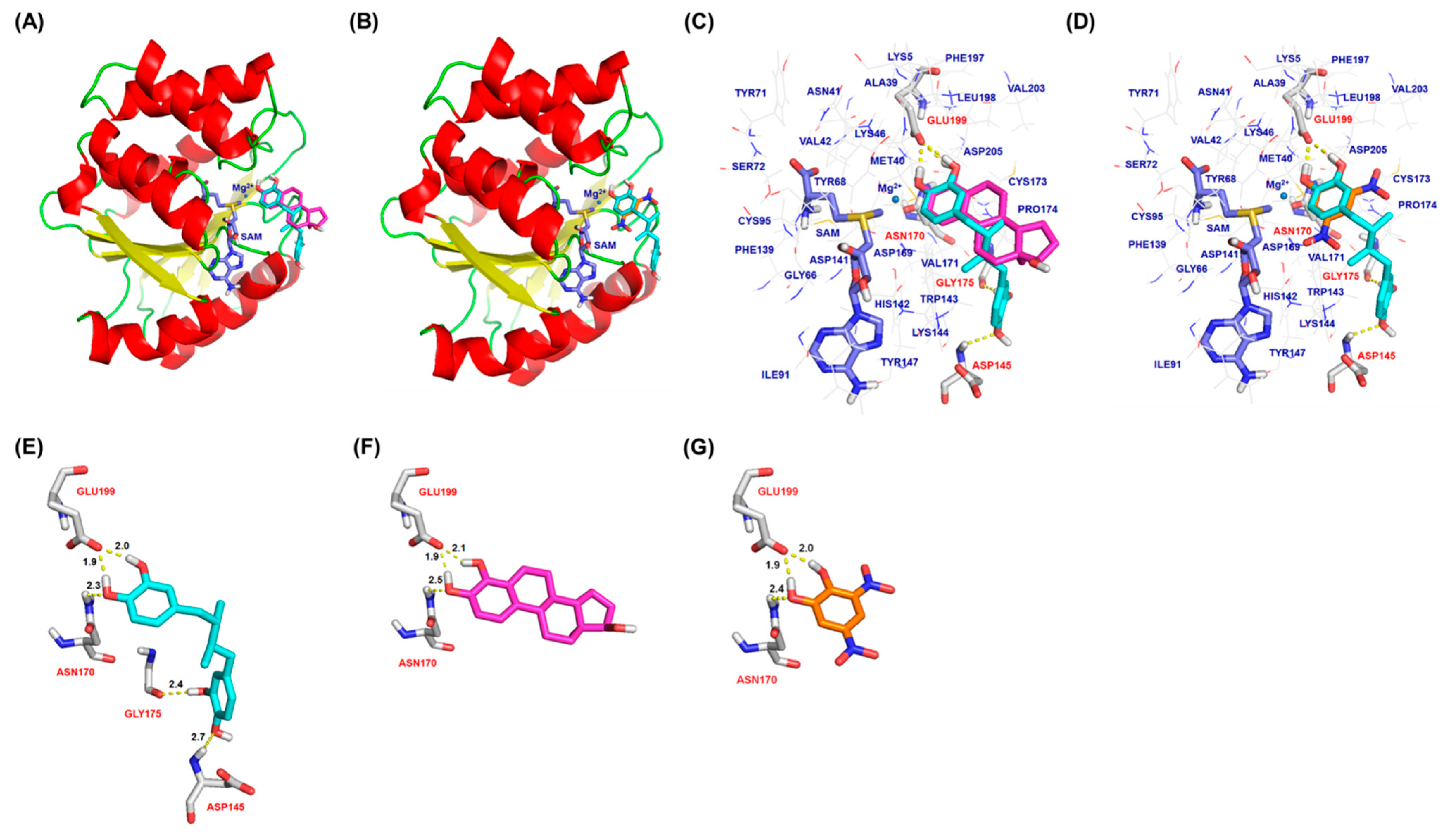Molecules 26 02060 g003