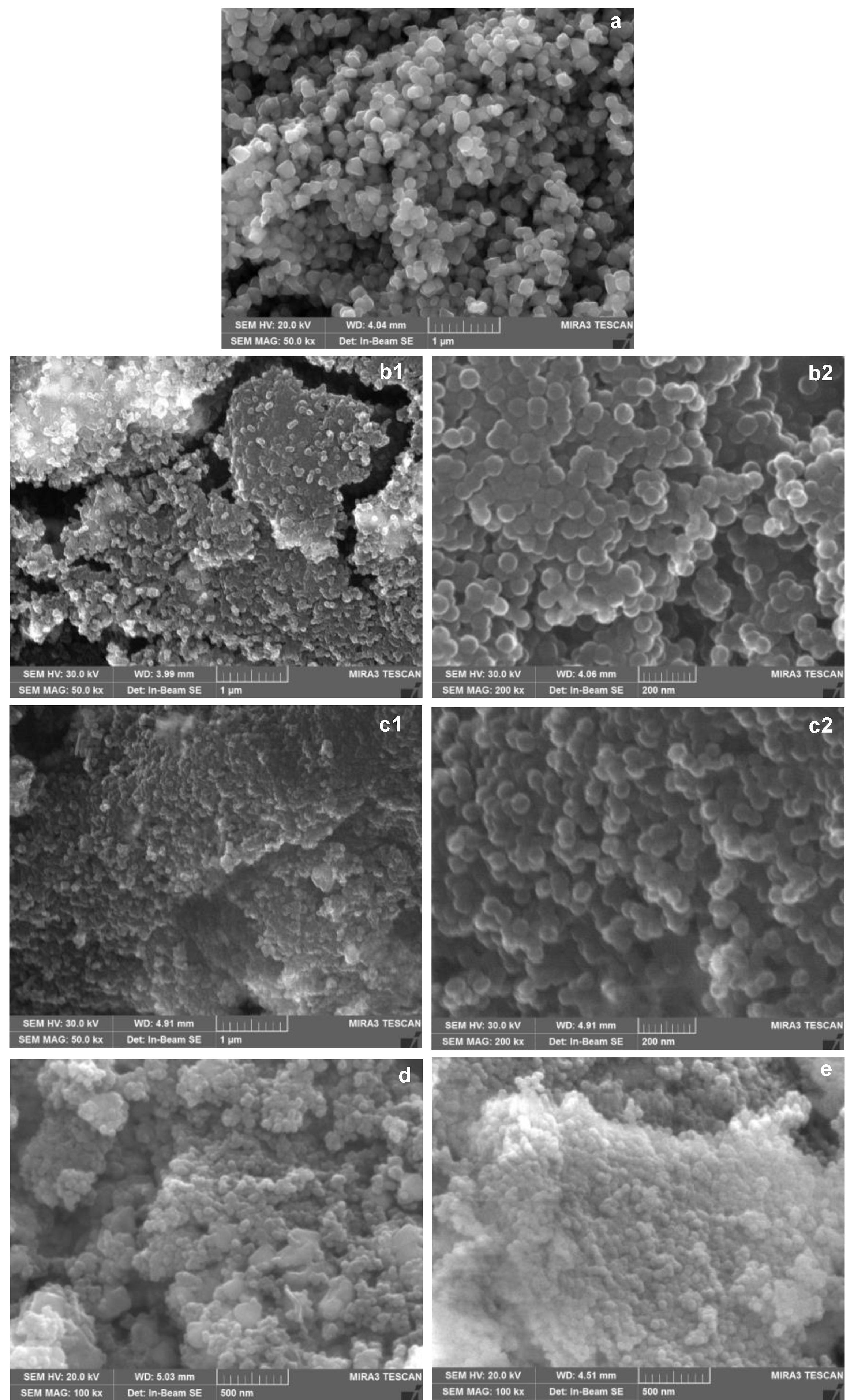 Molecules 26 02061 g001 Molecules 26 02061 g001