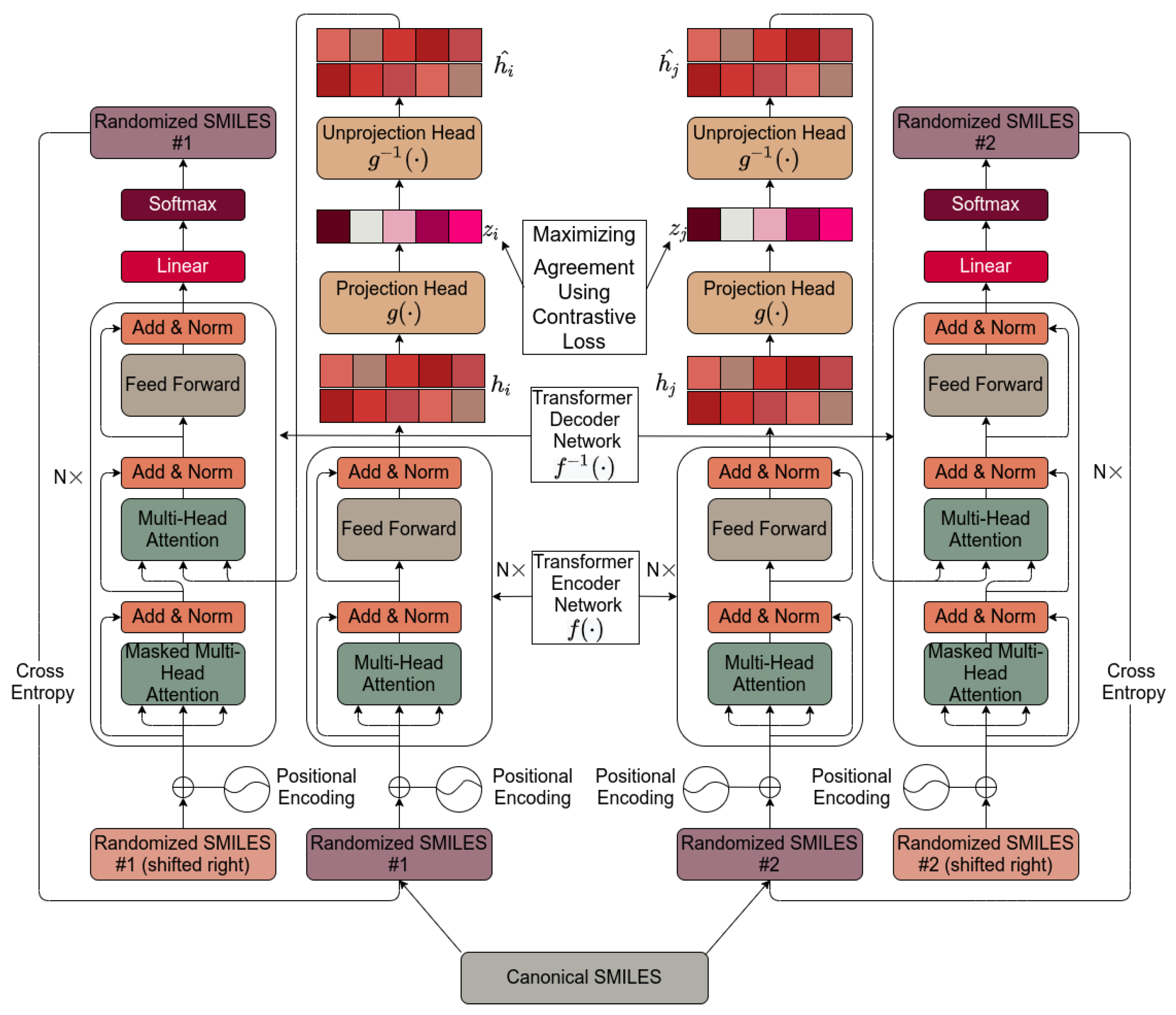 Molecules 26 02065 g001