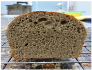 Molecules 26 02070 i009