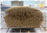 Molecules 26 02070 i013