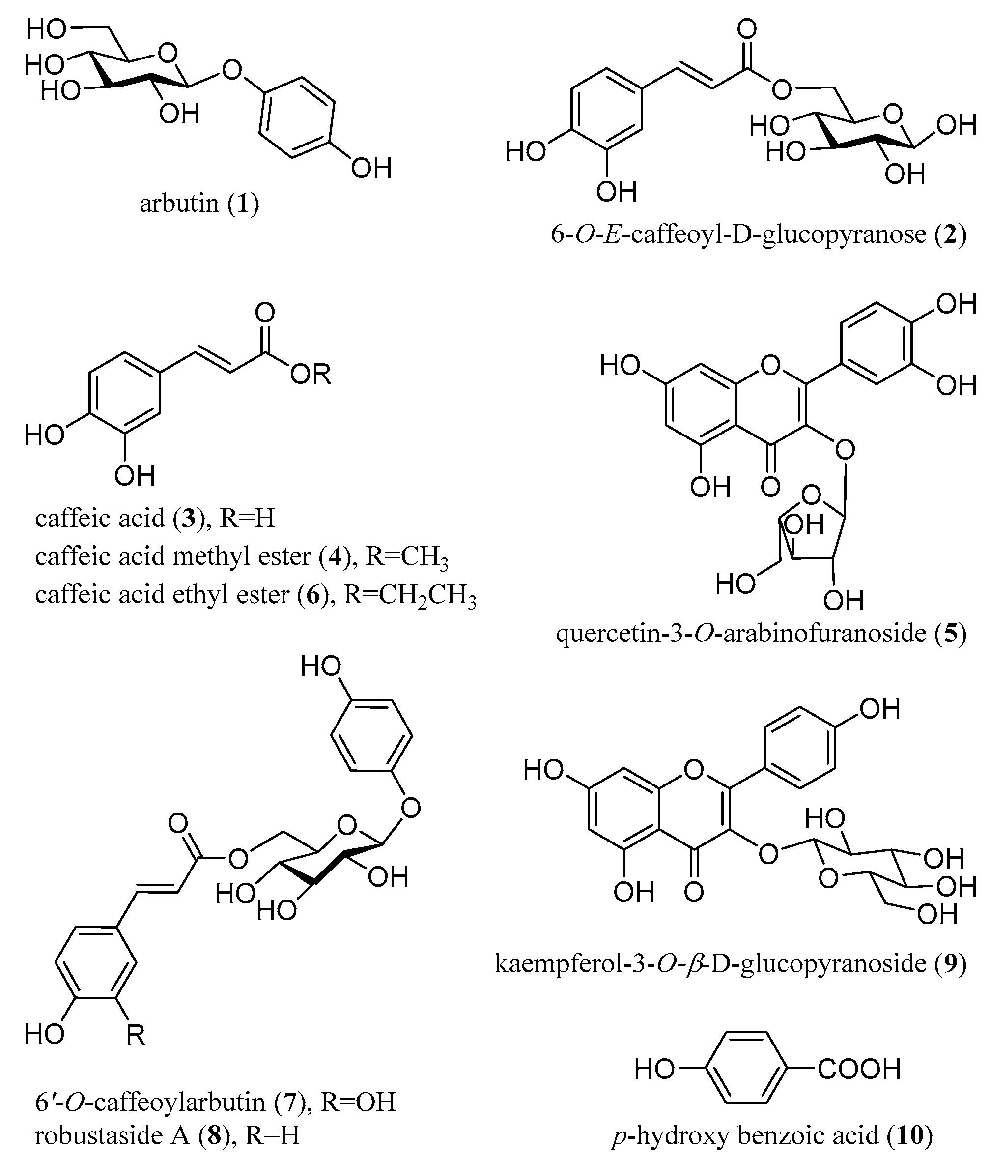 Molecules 26 02075 g001