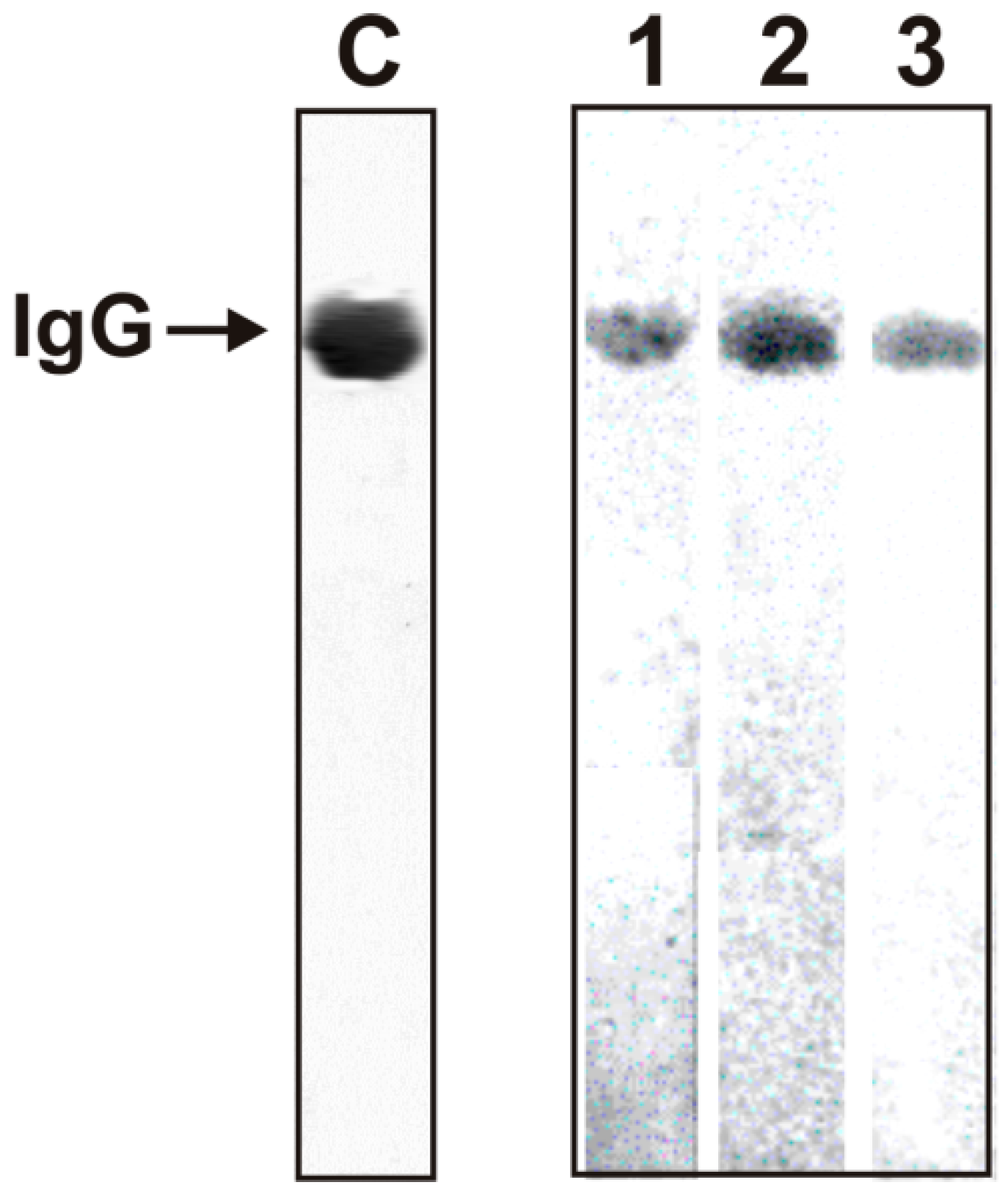 Molecules 26 02077 g001