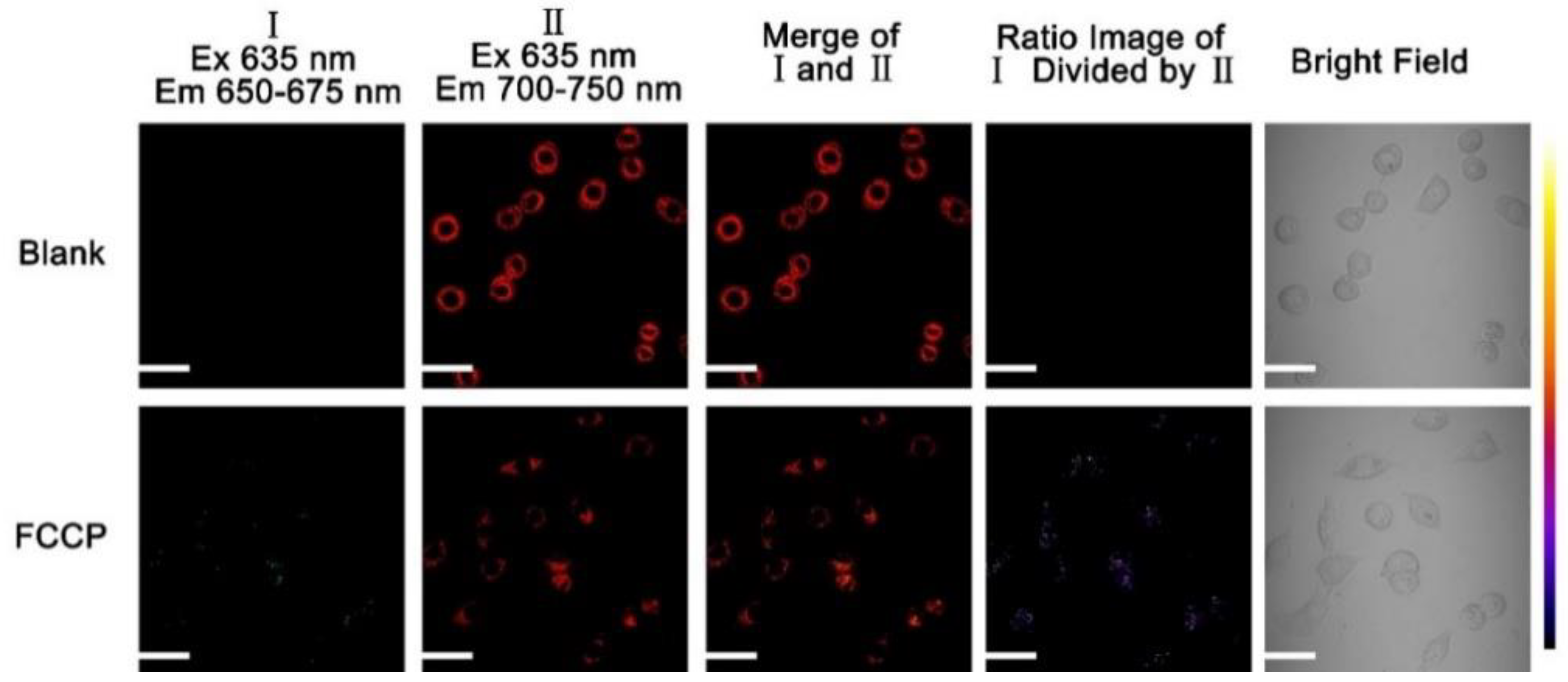 Molecules 26 02088 g014 Molecules 26 02088 g014