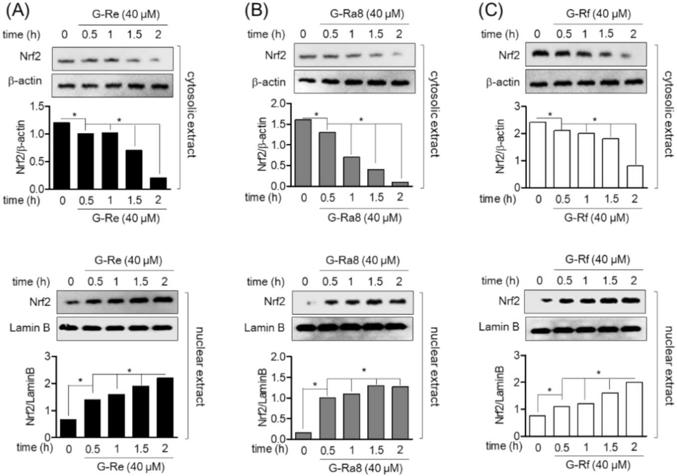 Molecules 26 02092 g005 Molecules 26 02092 g005
