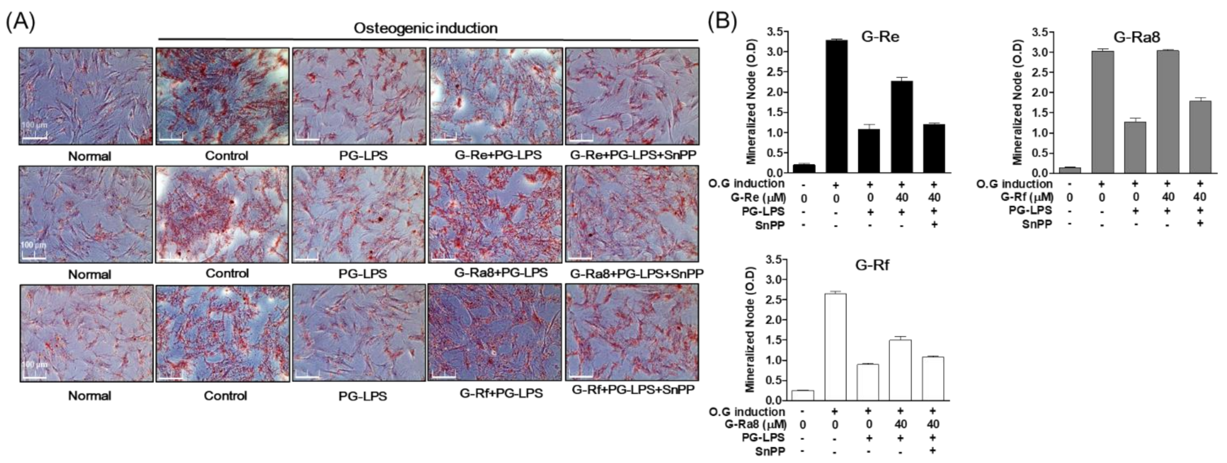 Molecules 26 02092 g011 Molecules 26 02092 g011