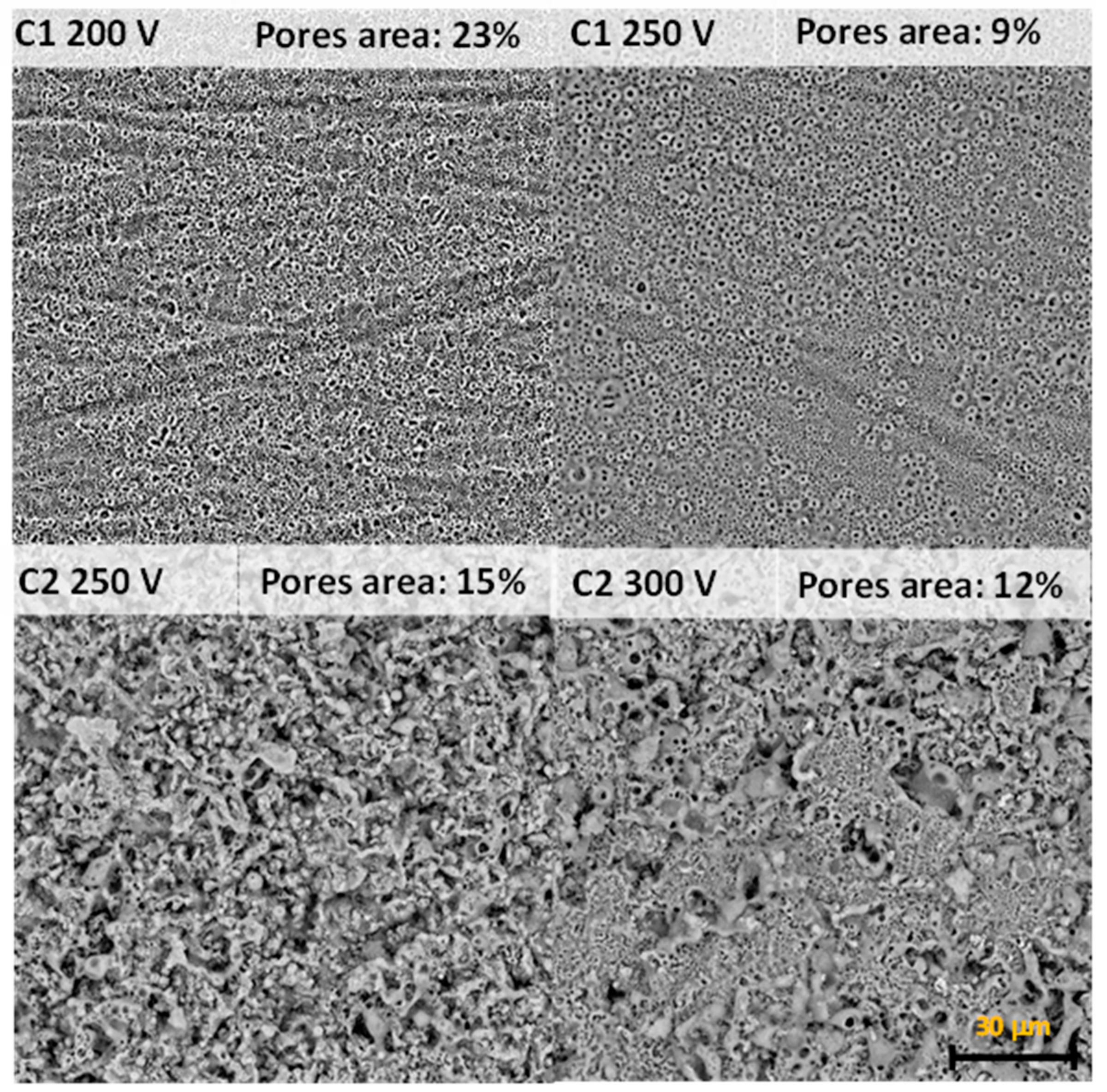 Molecules 26 02094 g001 Molecules 26 02094 g001