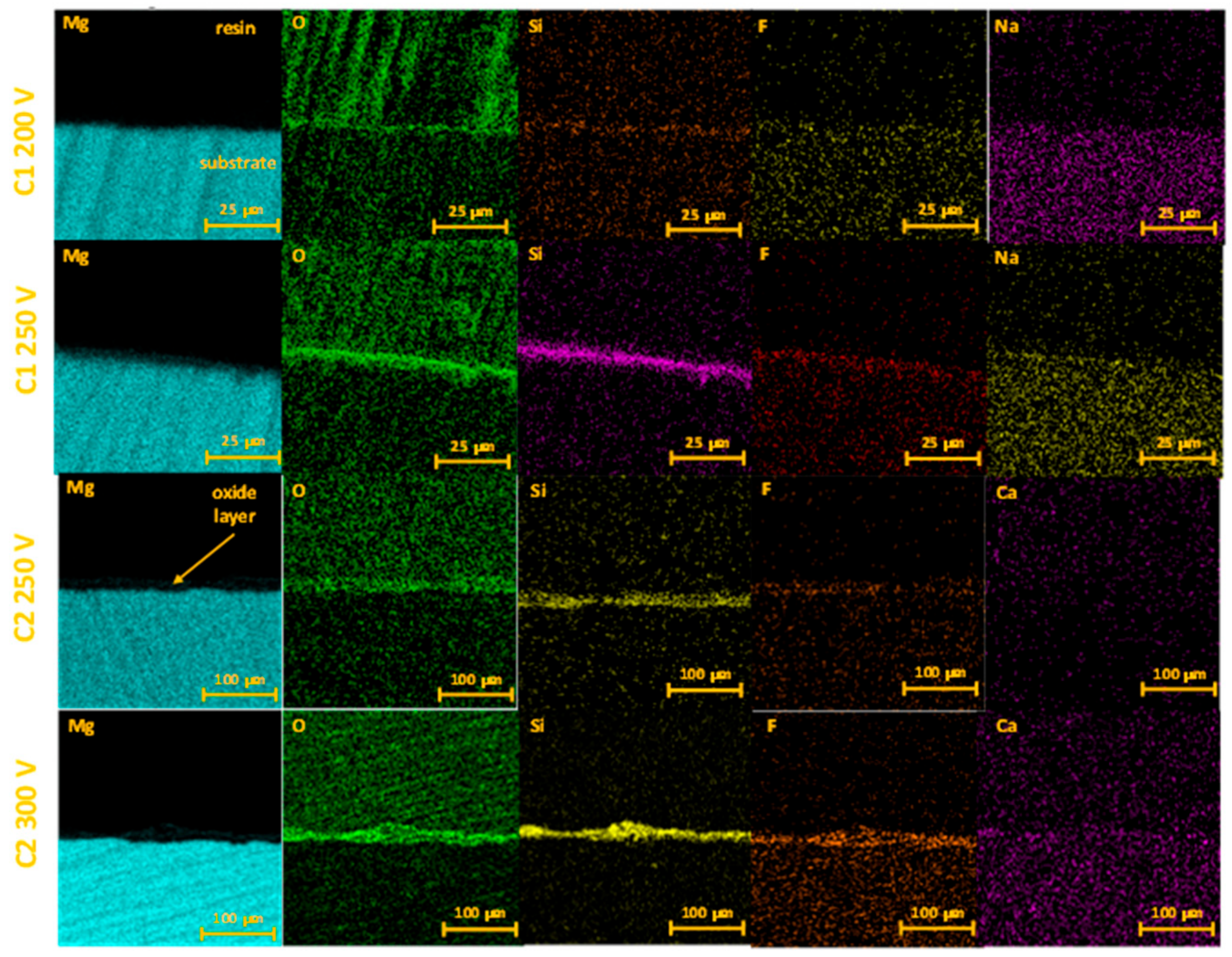 Molecules 26 02094 g004 Molecules 26 02094 g004