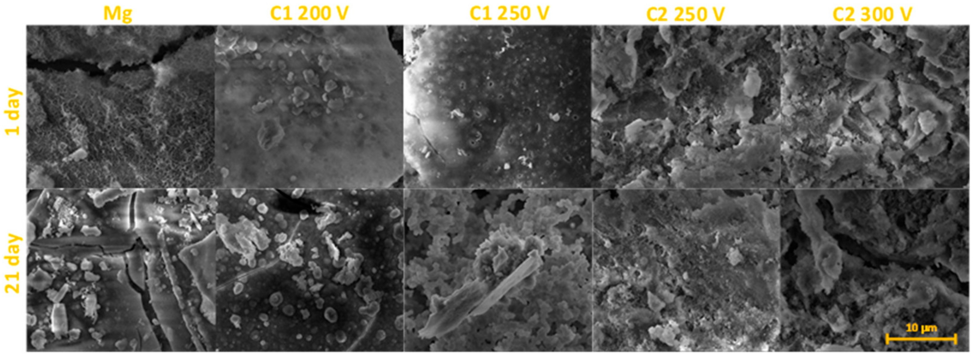 Molecules 26 02094 g008 Molecules 26 02094 g008