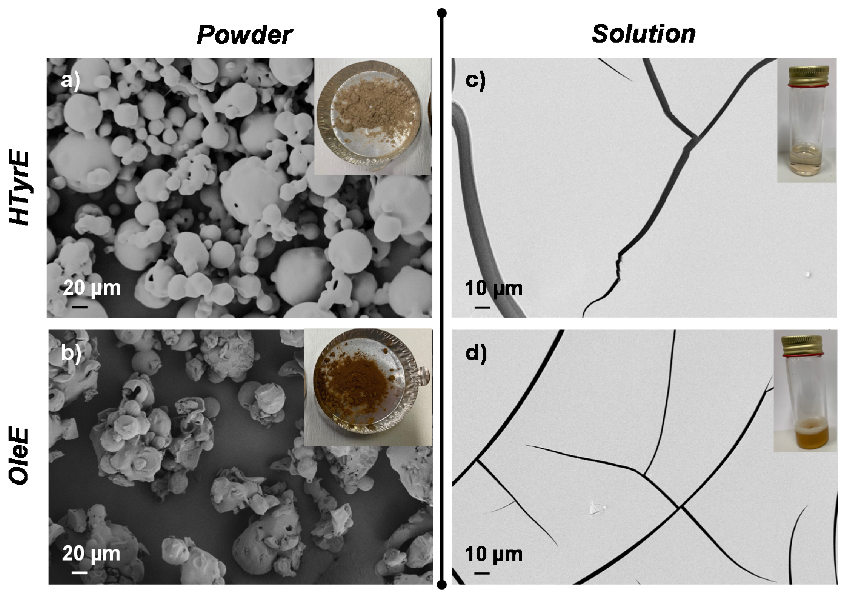 Molecules 26 02104 g005