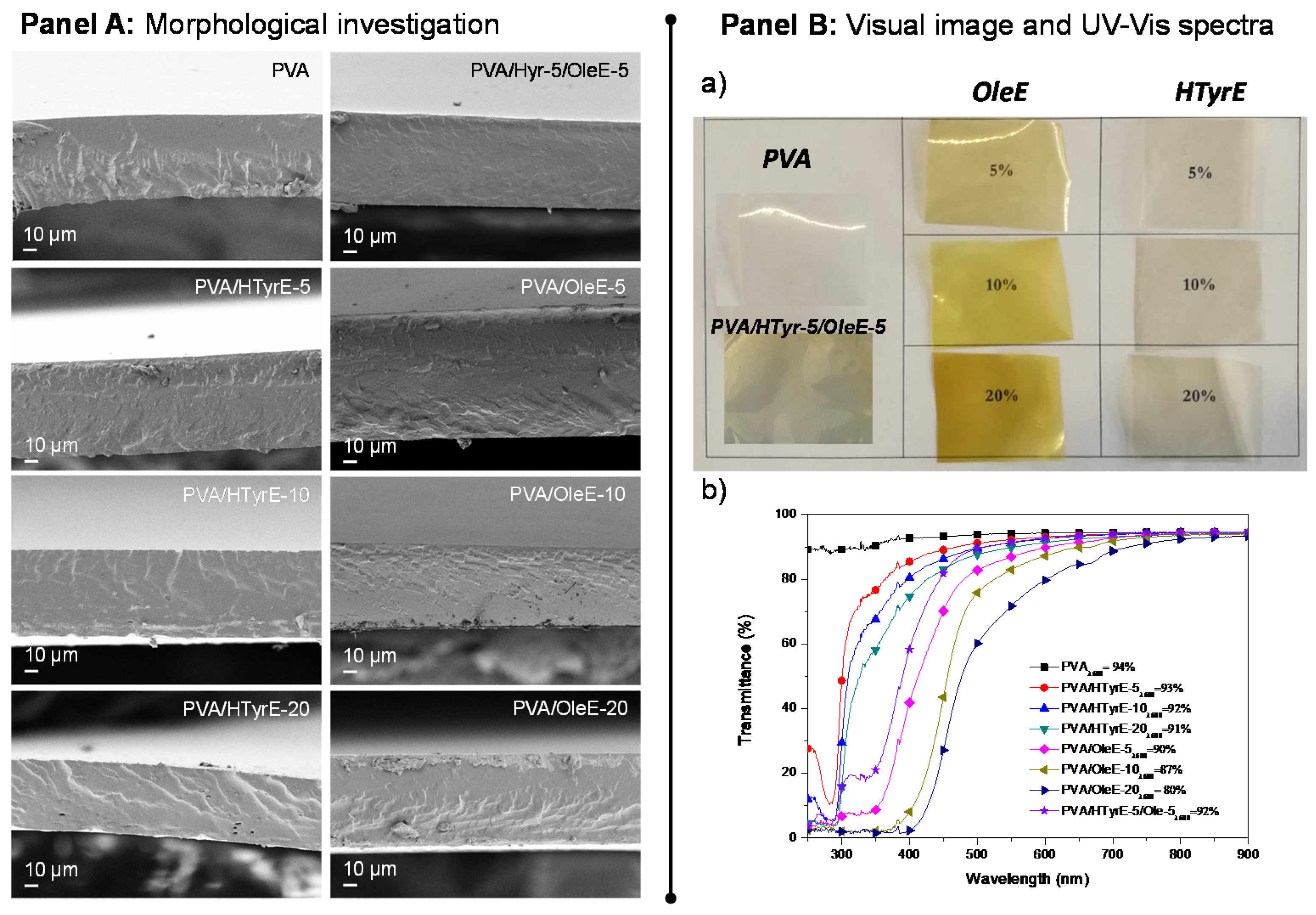 Molecules 26 02104 g007
