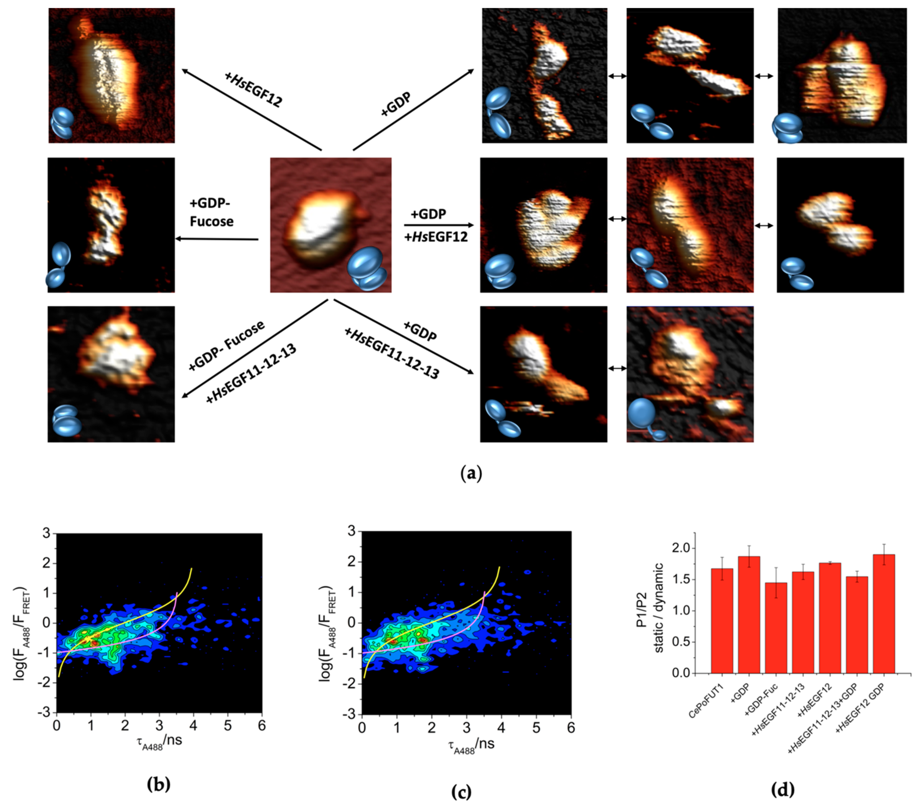 Molecules 26 02105 g002