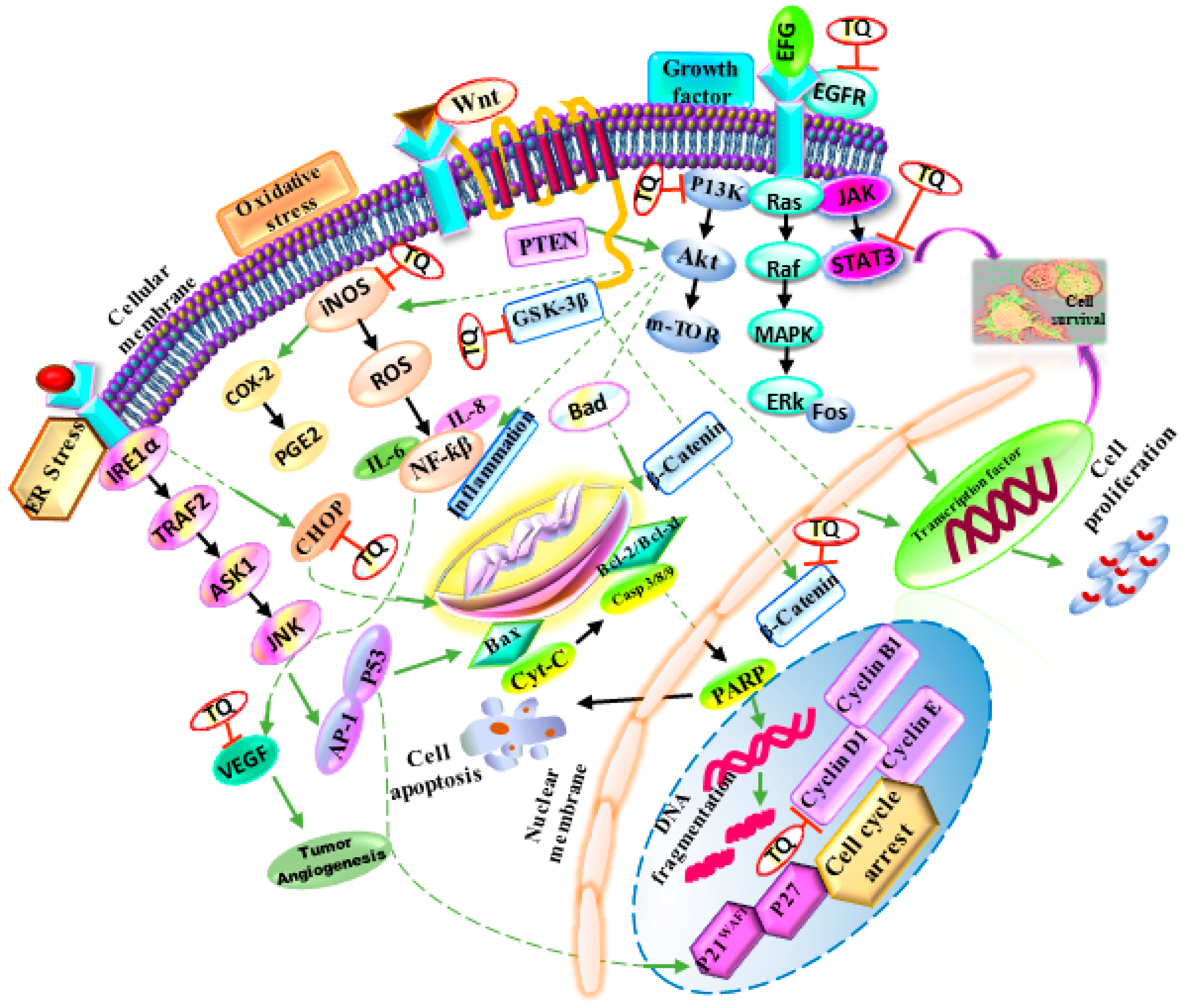 Molecules 26 02108 g003