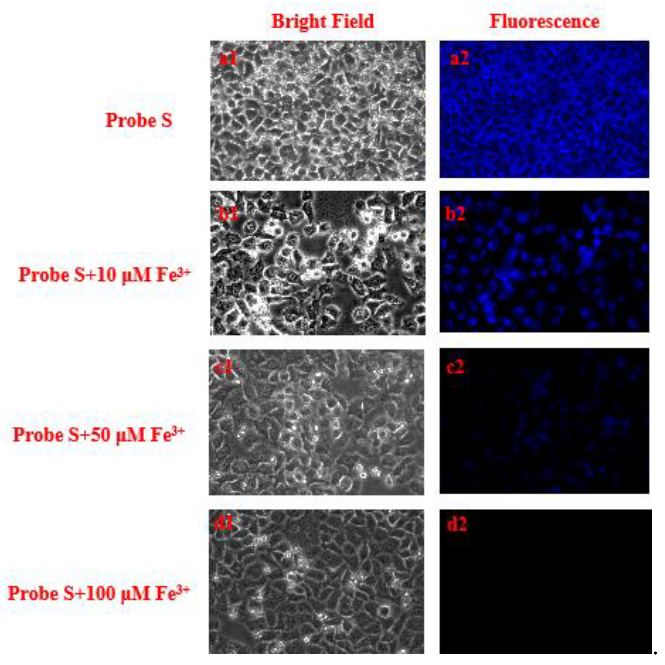 Molecules 26 02115 g010
