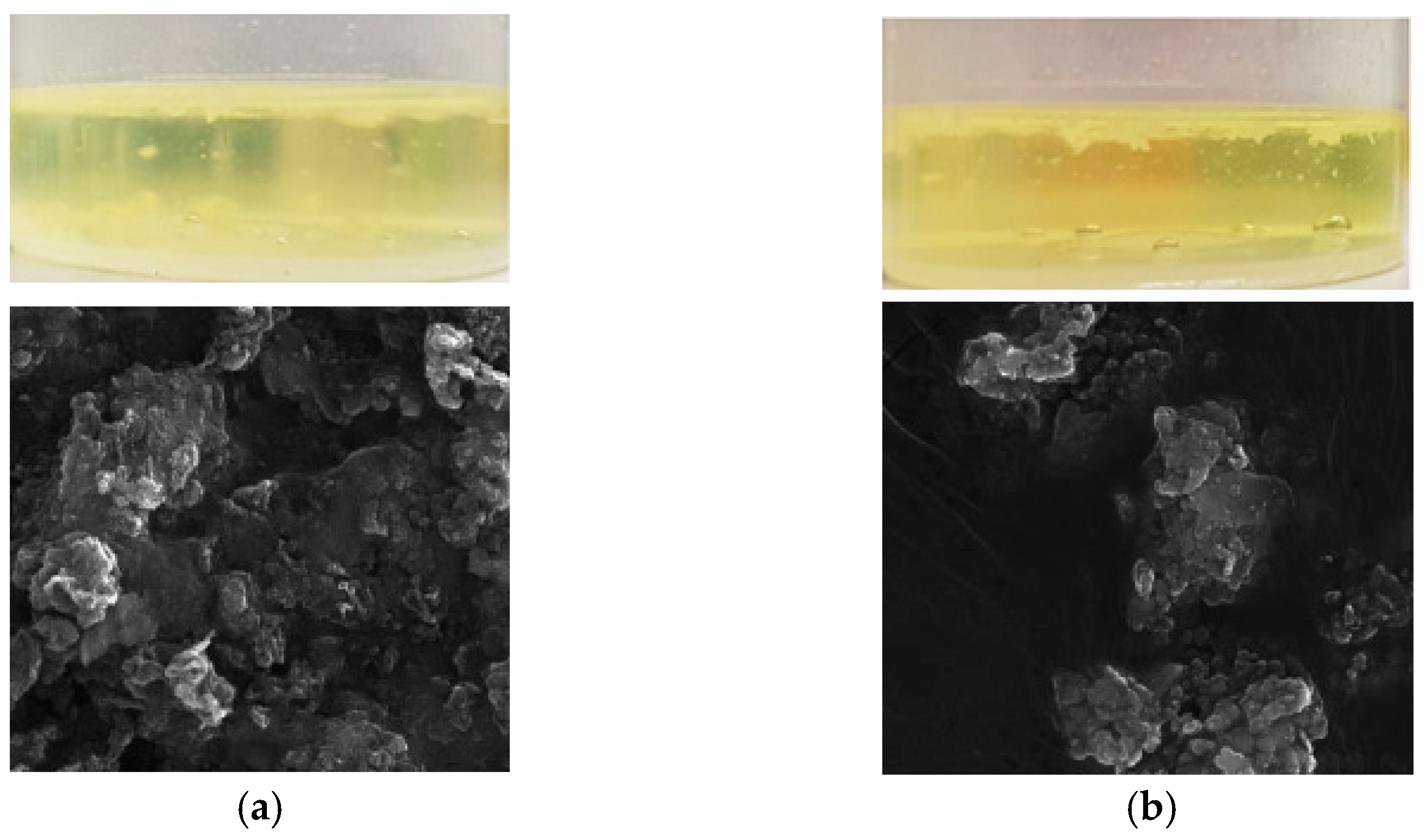 Molecules 26 02120 g001