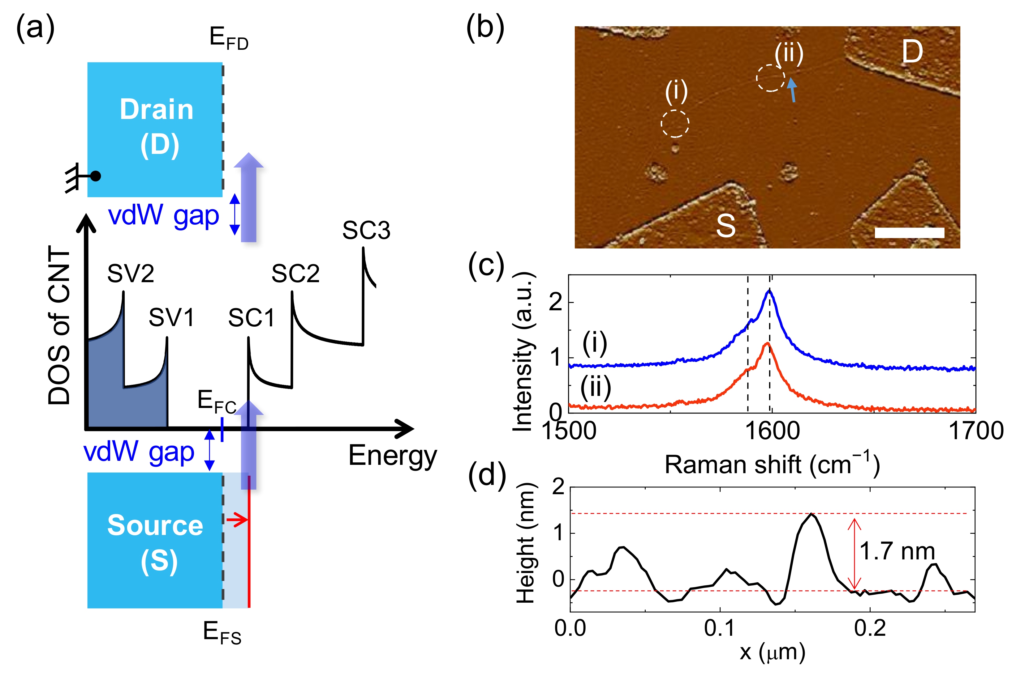 Molecules 26 02128 g001