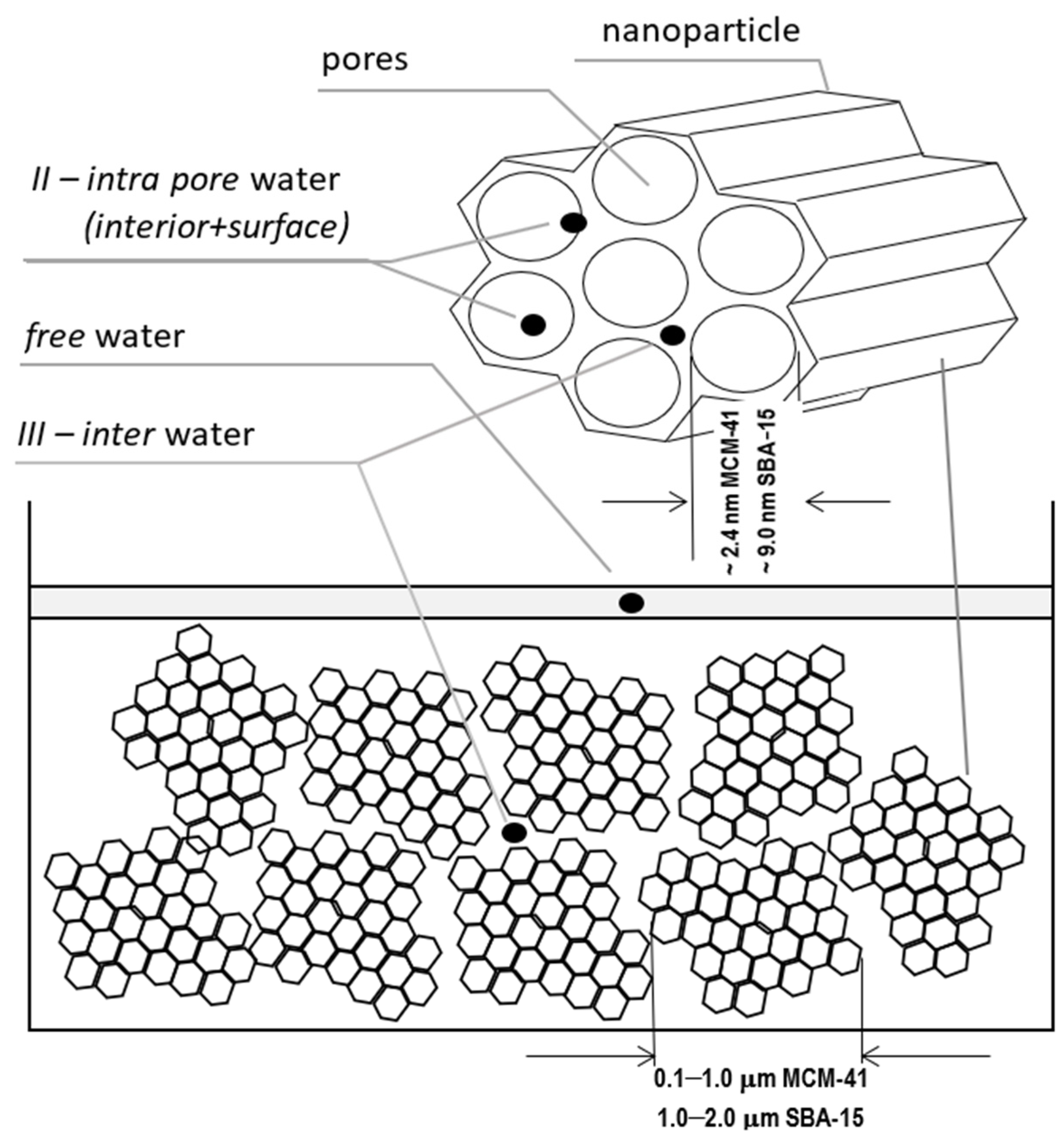 Molecules 26 02133 g001