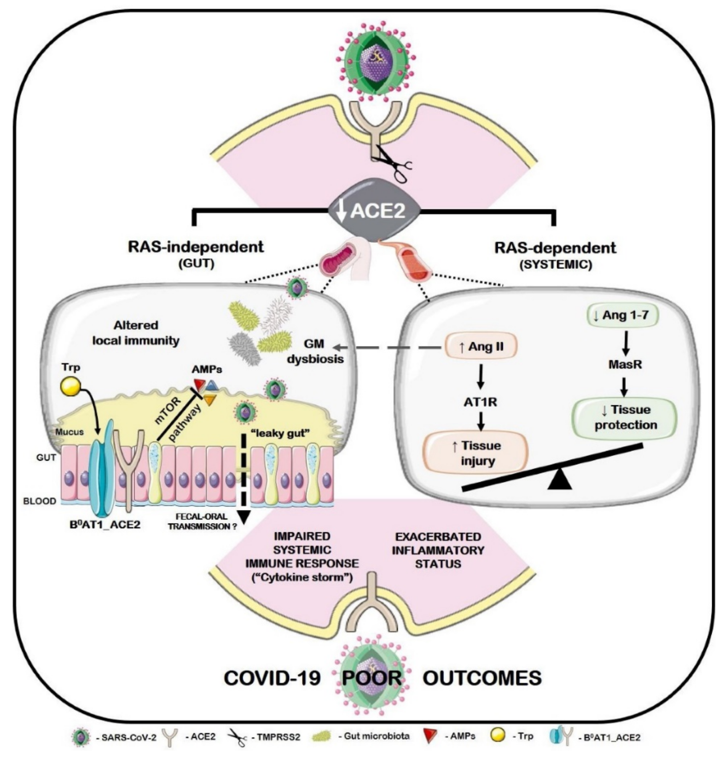 Molecules 26 02134 g002 Molecules 26 02134 g002