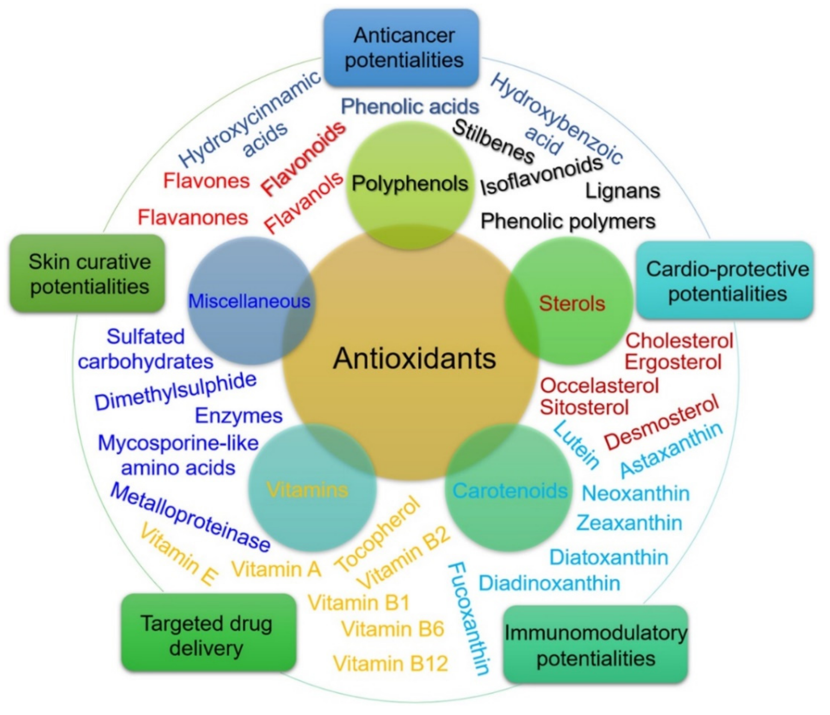 Molecules 26 02134 g004 Molecules 26 02134 g004