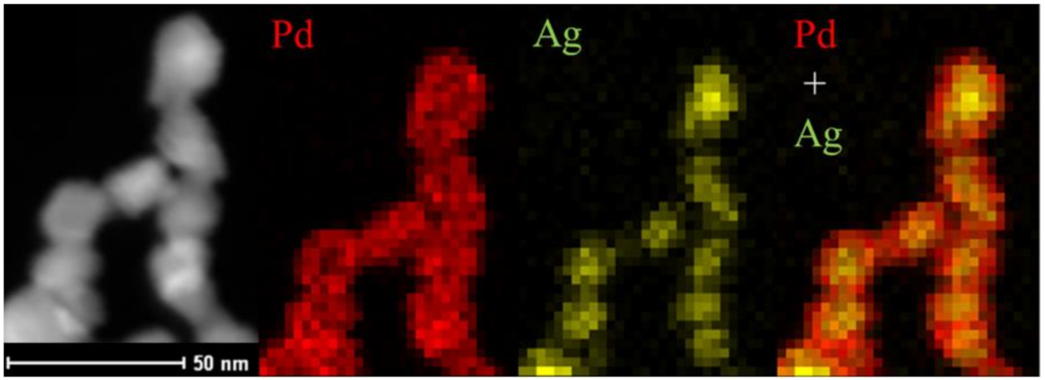 Molecules 26 02144 g002