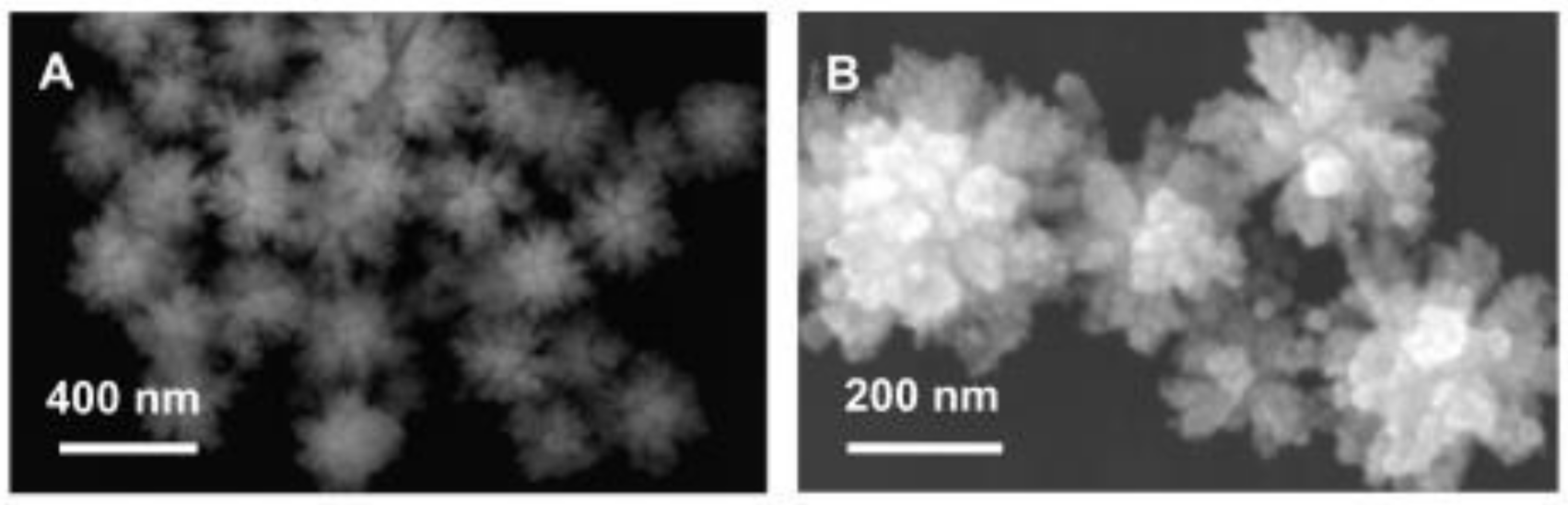Molecules 26 02144 g007