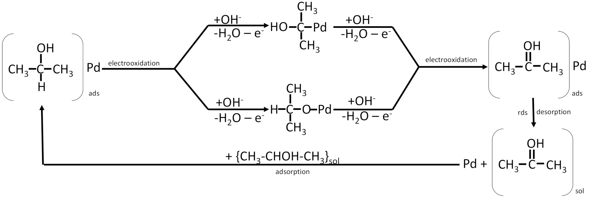 Molecules 26 02144 g008