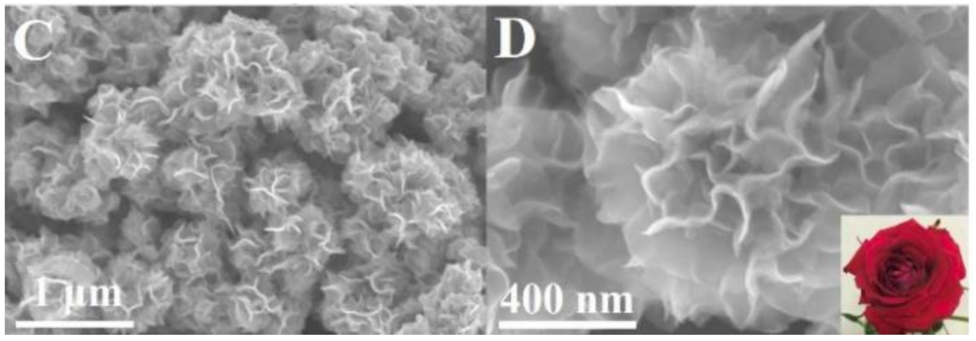 Molecules 26 02144 g009